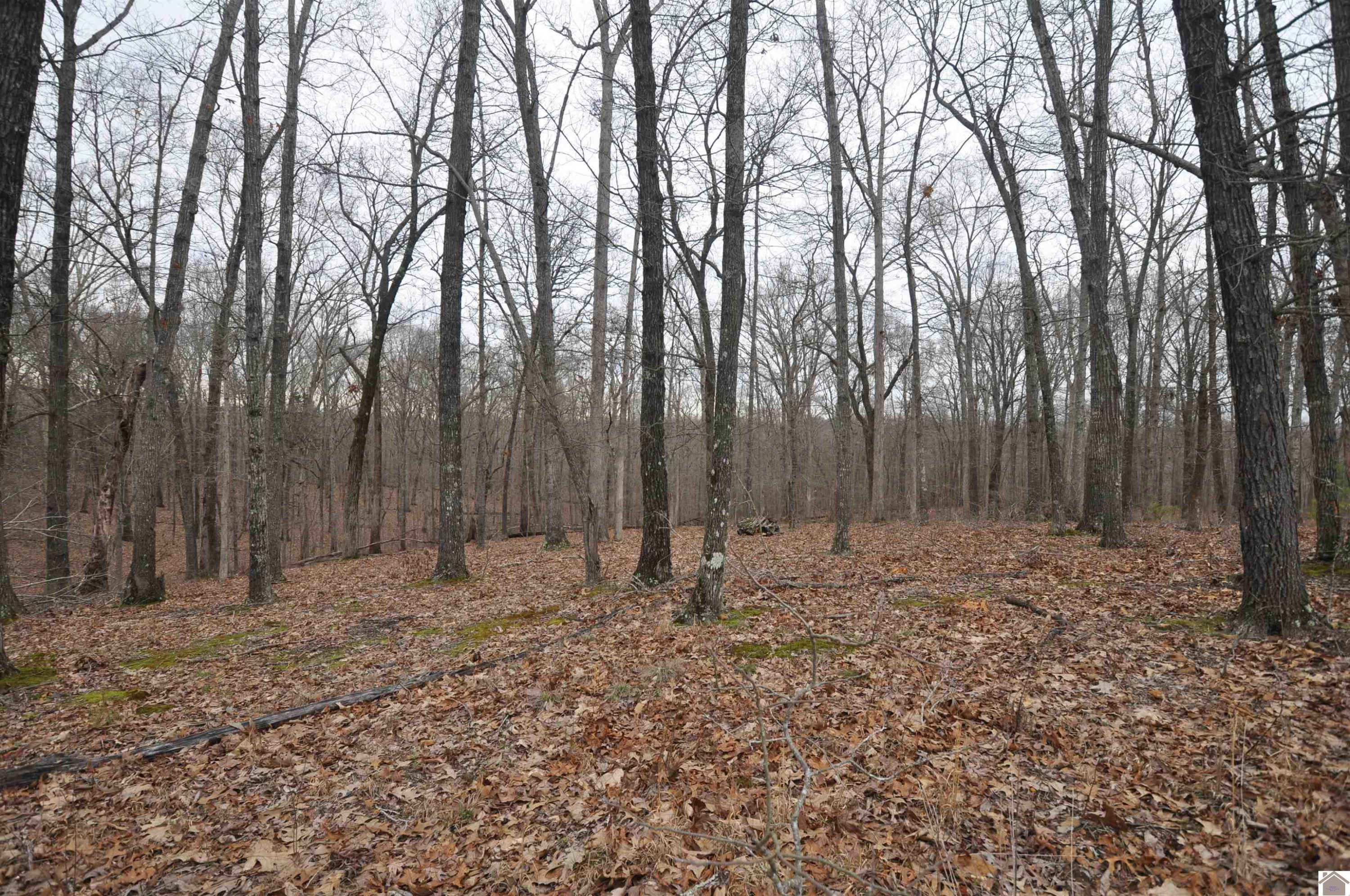 00 Hills Hollow Road Lot 20