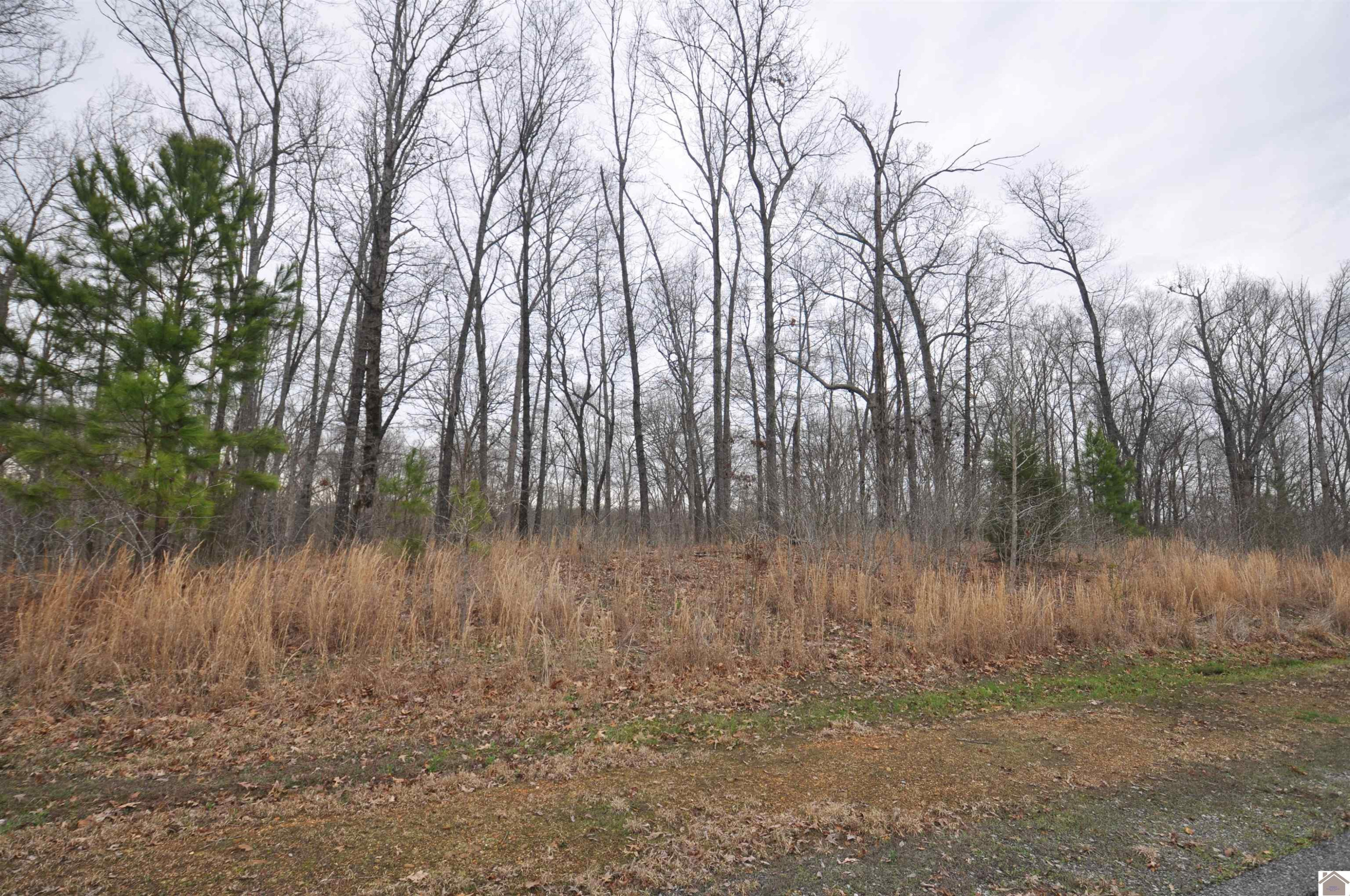 00 Hills Hollow Road Lot 20