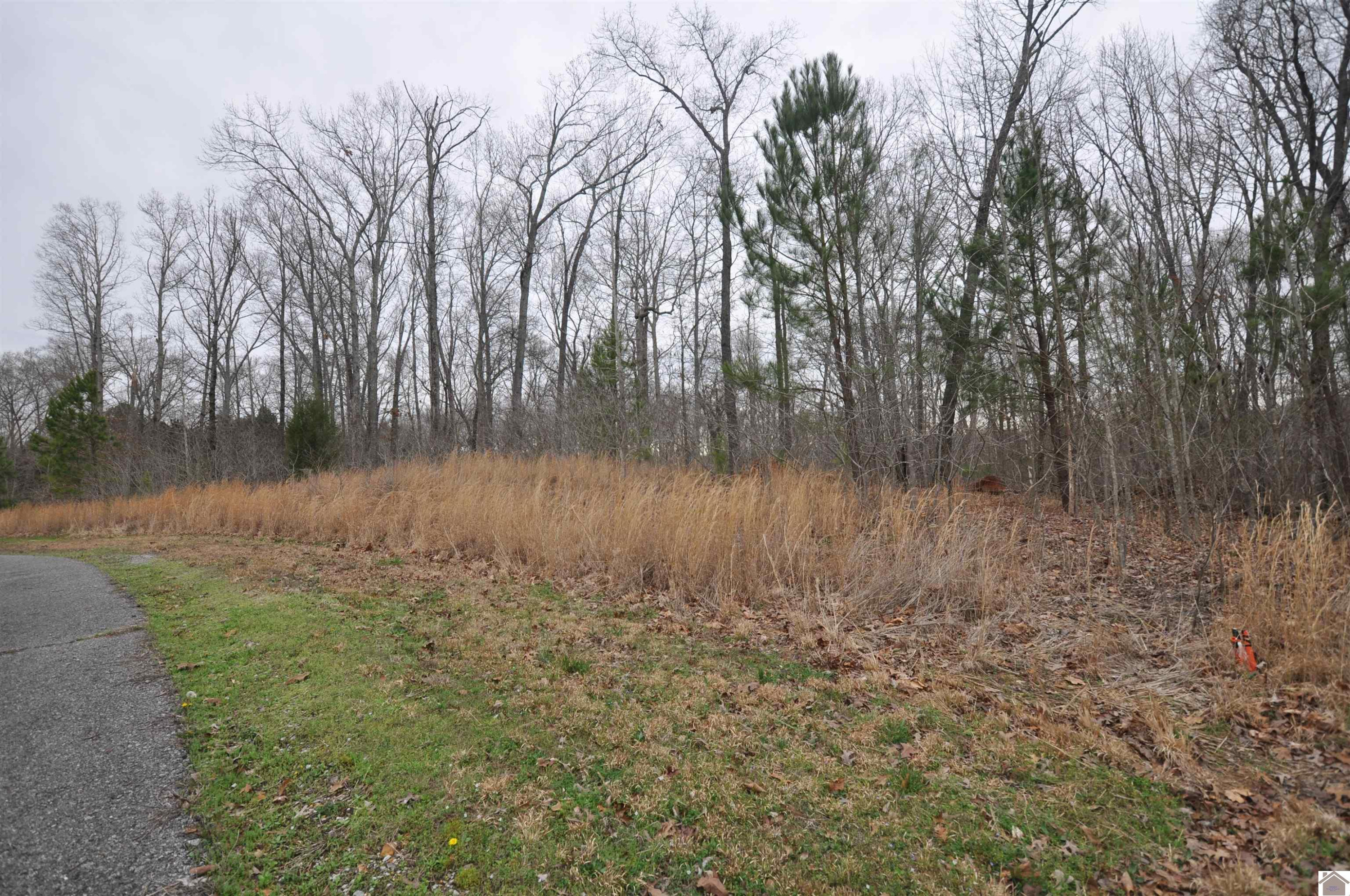 00 Hills Hollow Road Lot 20