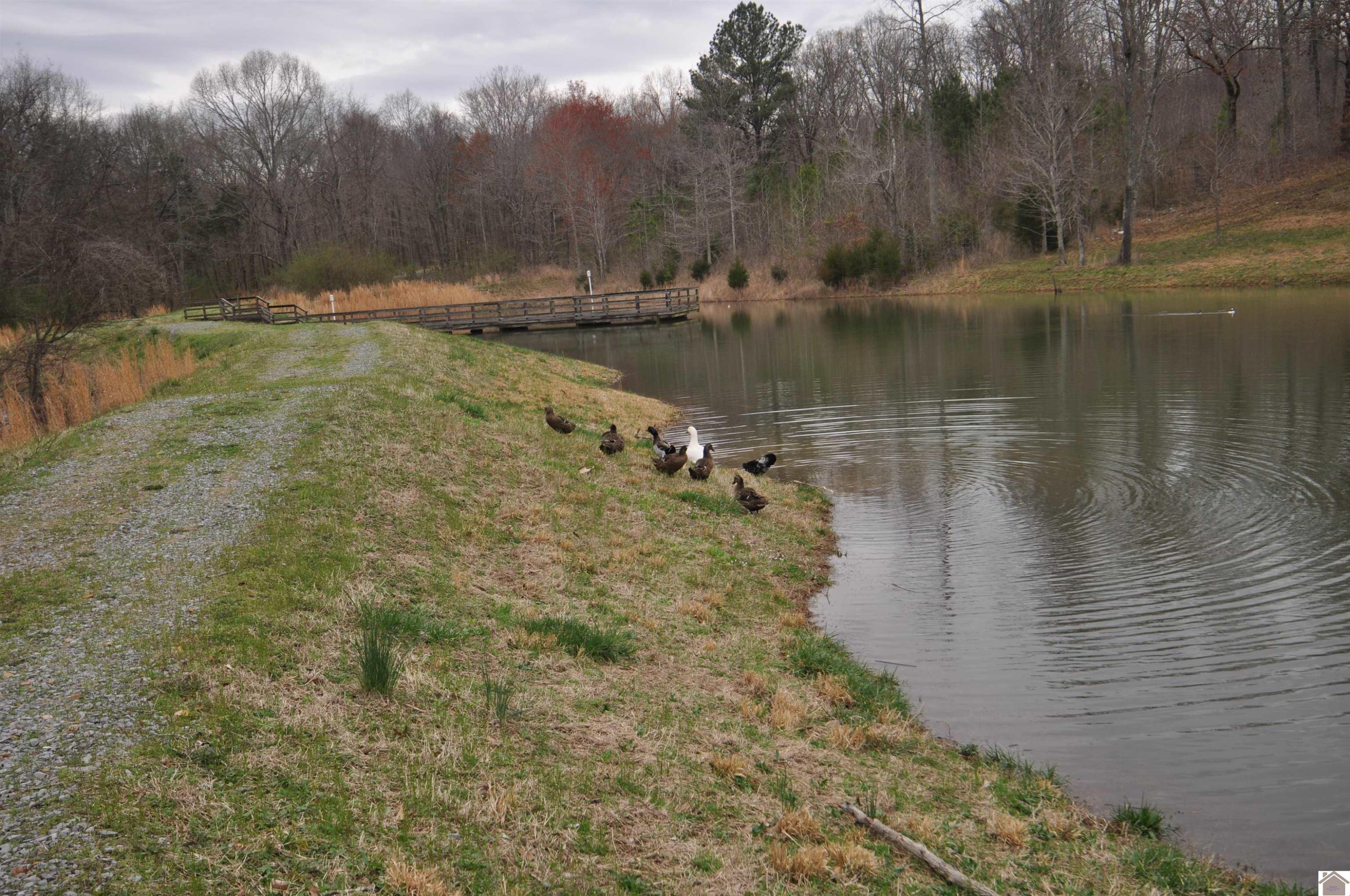 00 Hills Hollow Road Lot 20