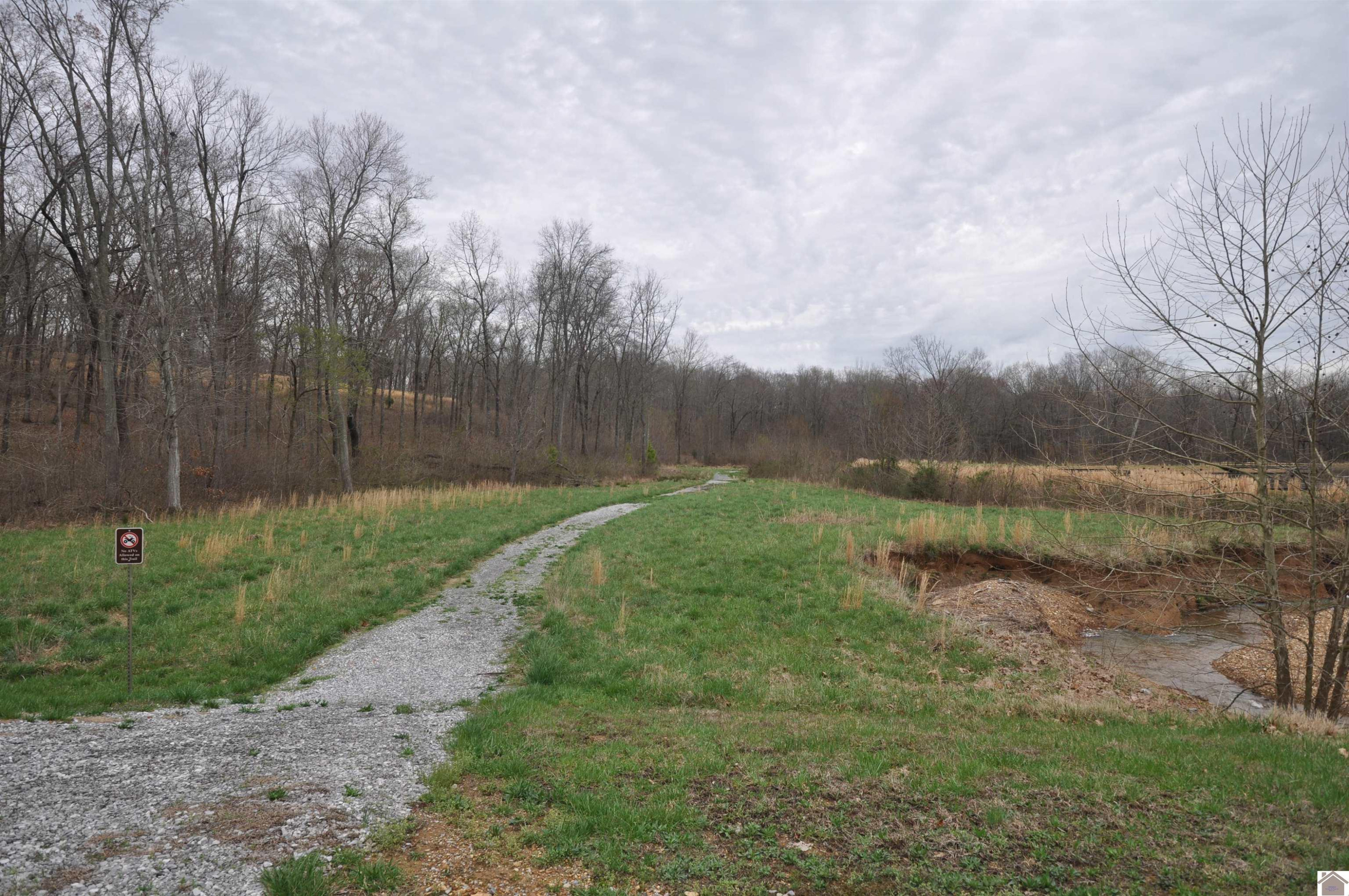 00 Hills Hollow Road Lot 20