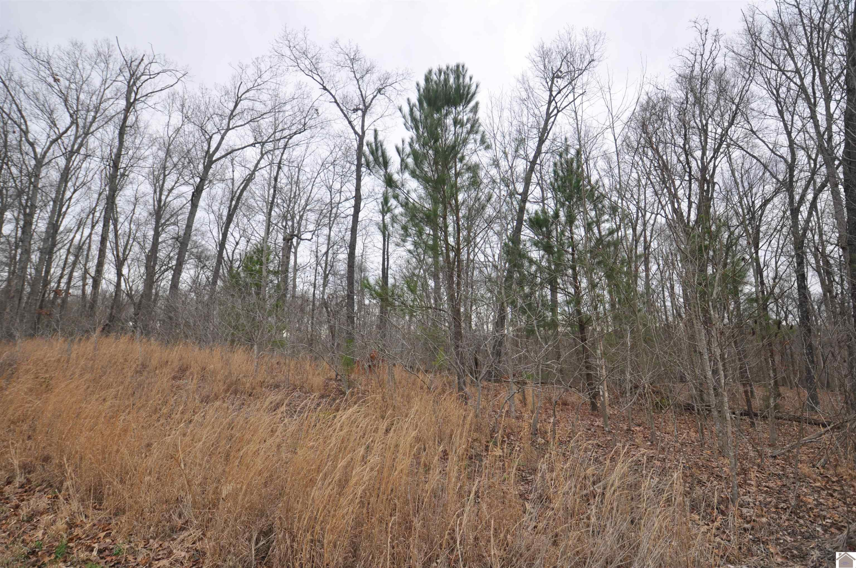 00 Hills Hollow Road Lot 20