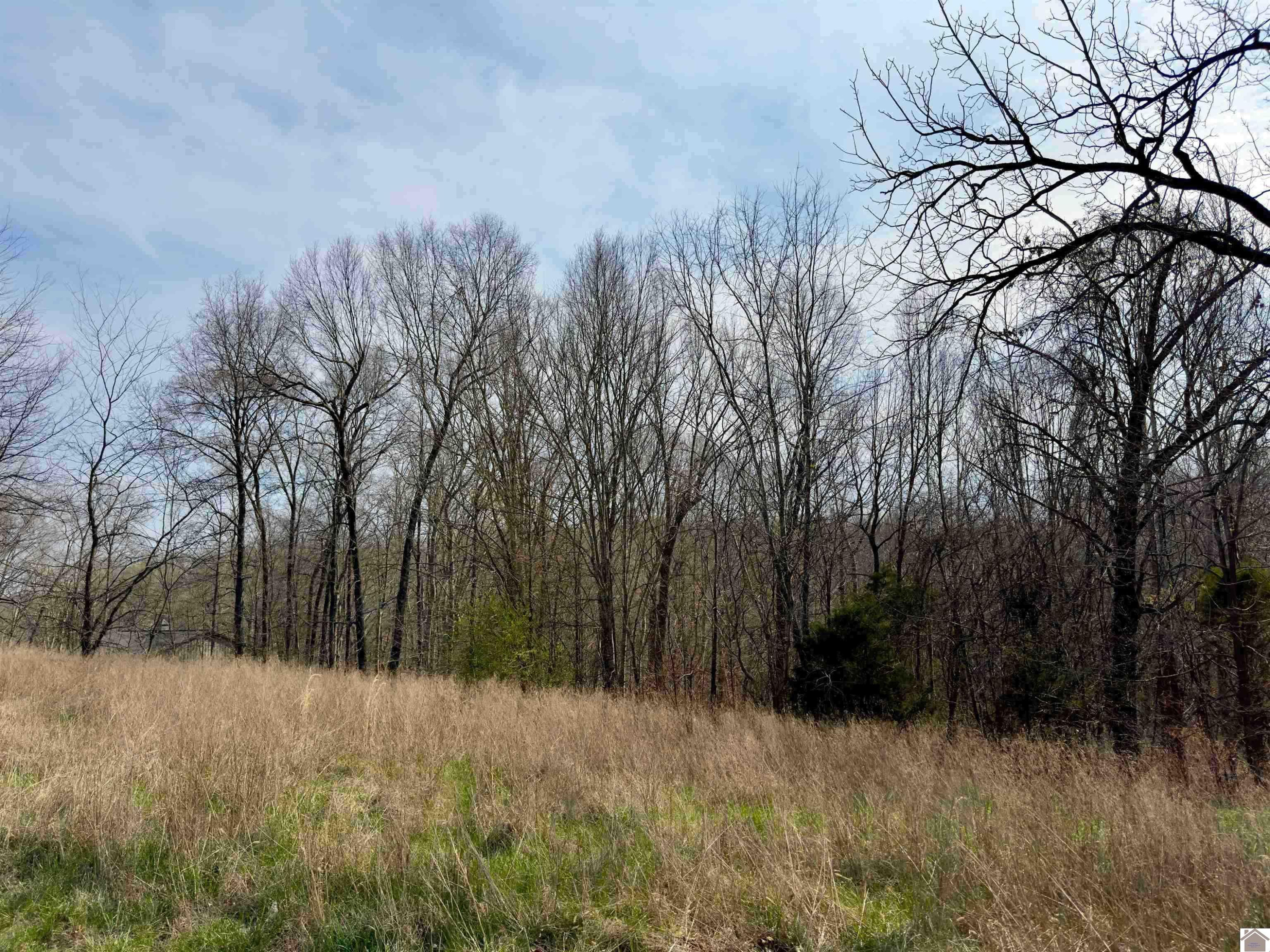 00 Sun Hill Cir, 26 & 27 Lots