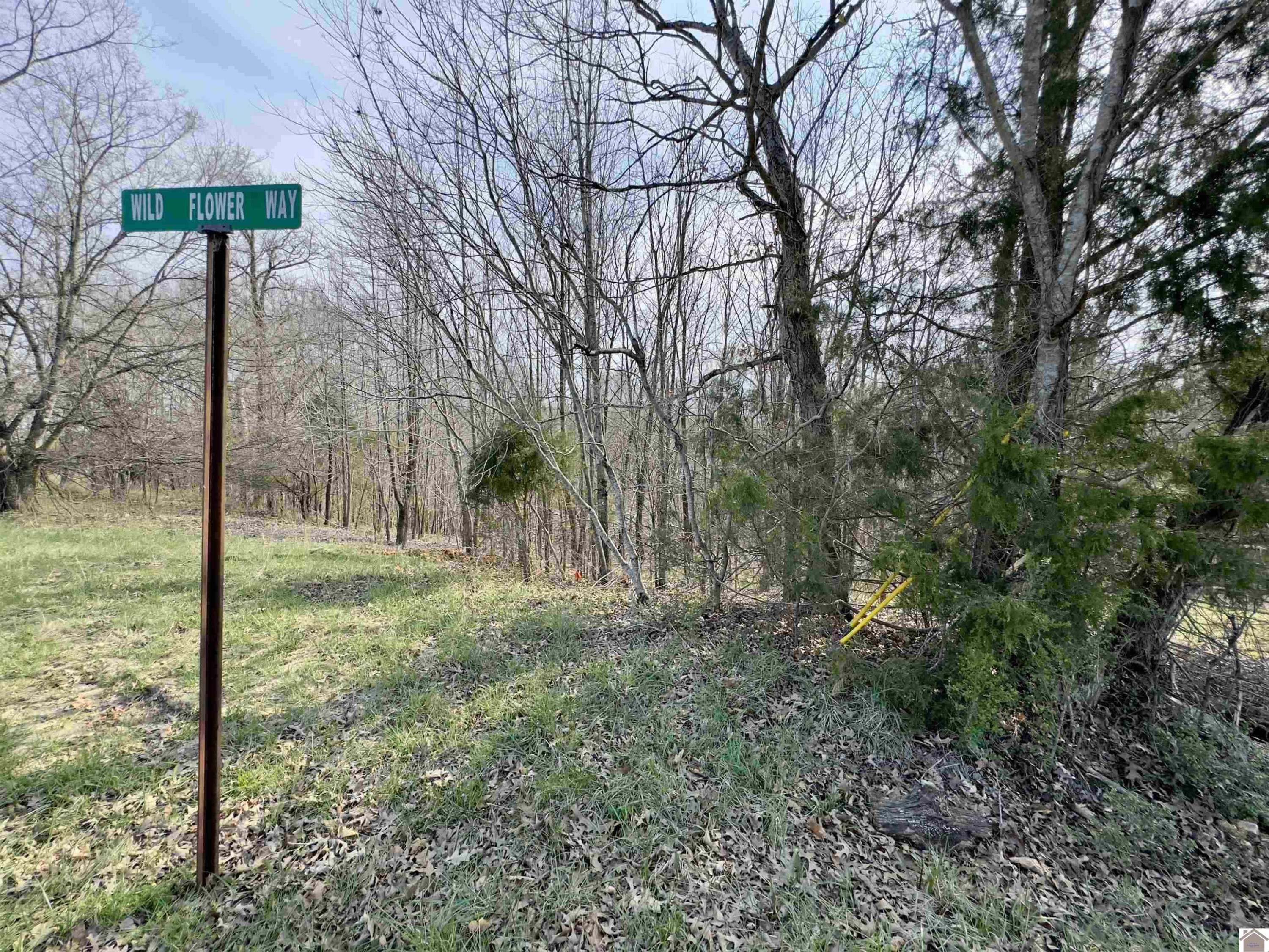 00 Sun Hill Cir, 26 & 27 Lots