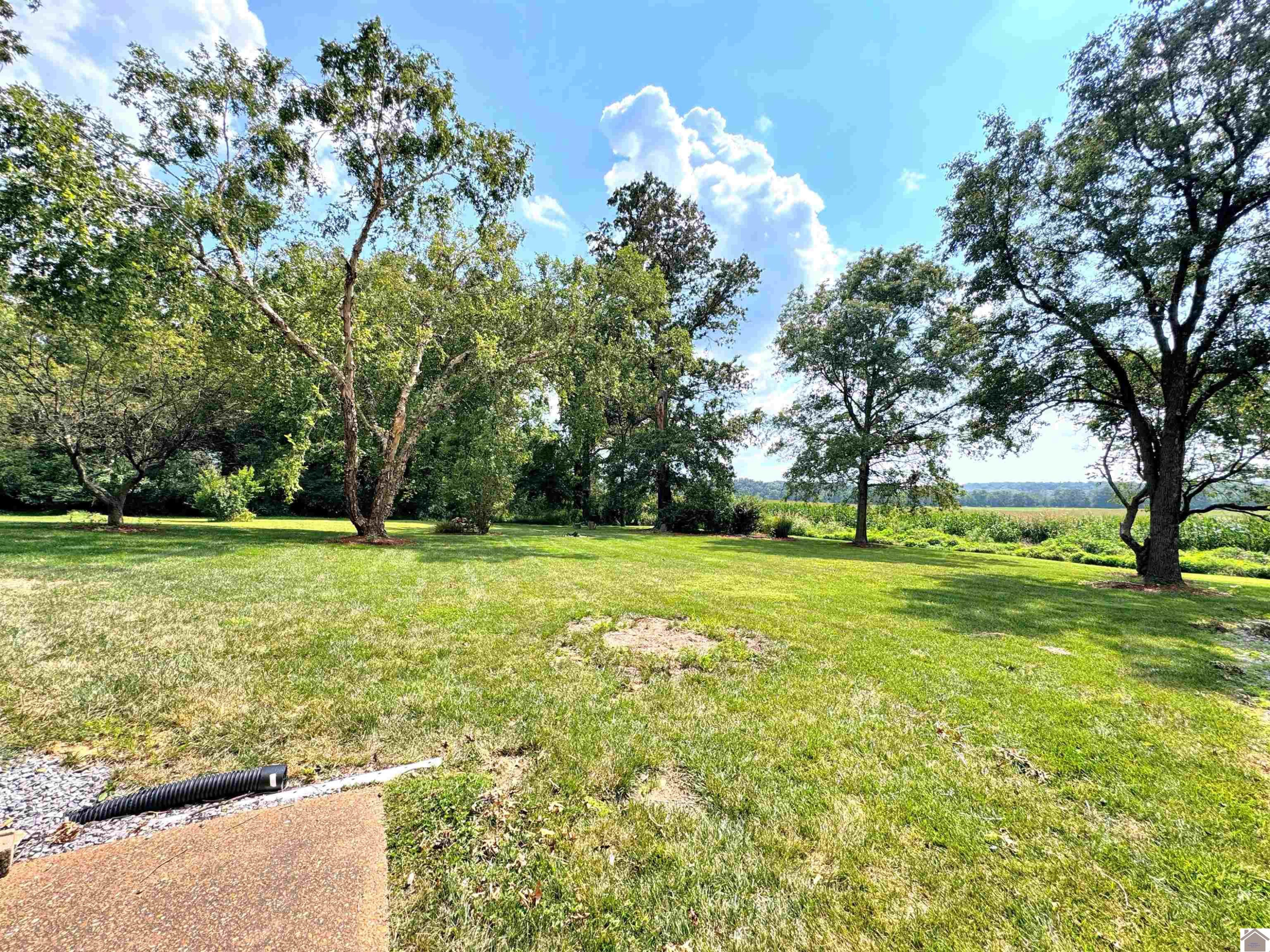 46 Streetland Drive