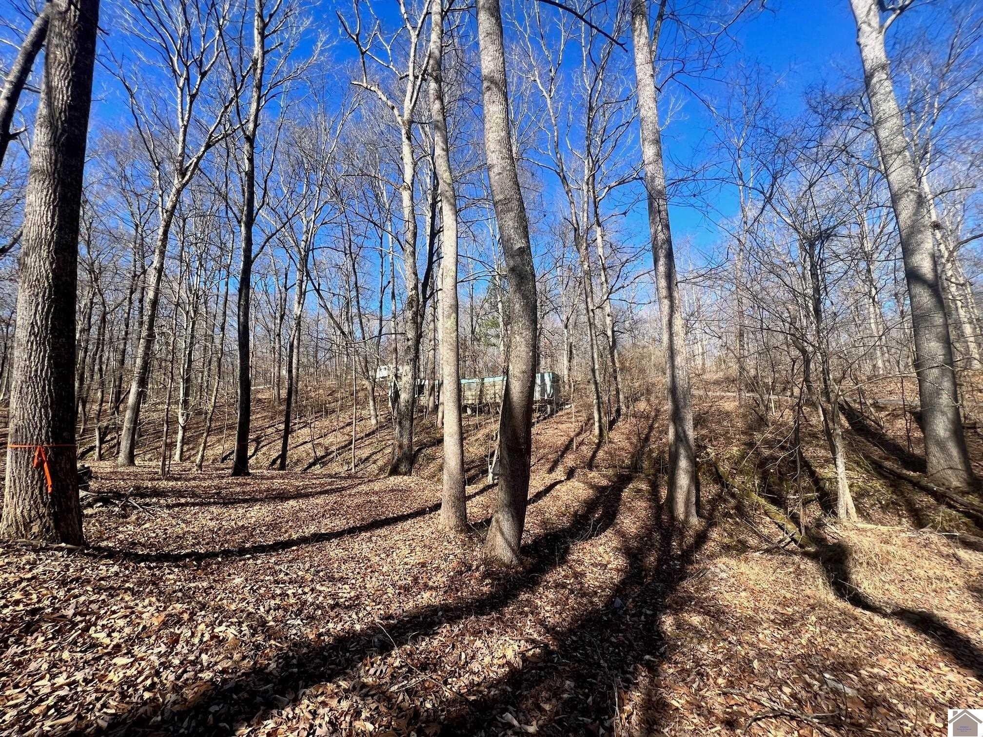 00 Ivey Drive 536, 537