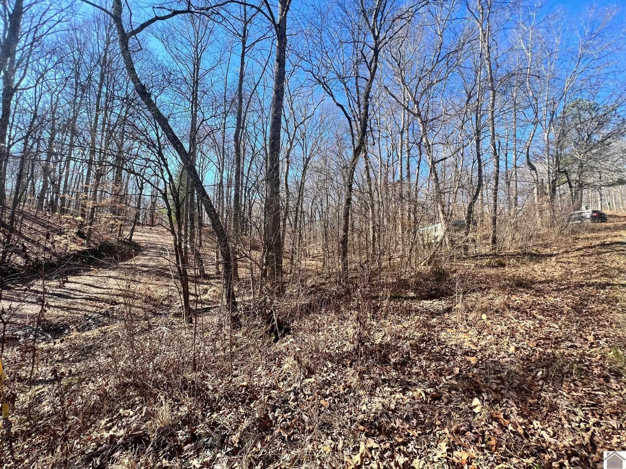 00 Ivey Drive 536, 537