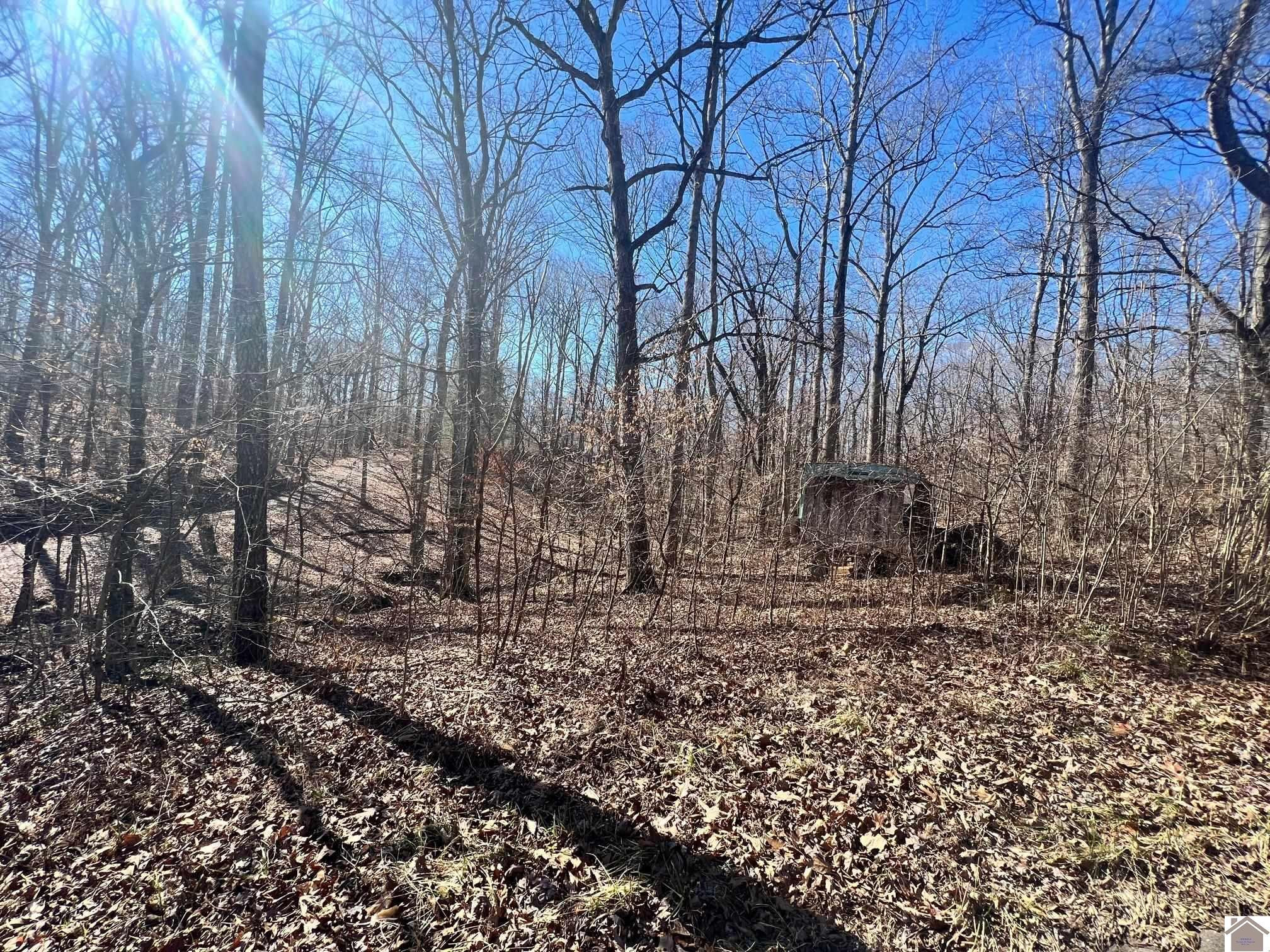 00 Ivey Drive 536, 537