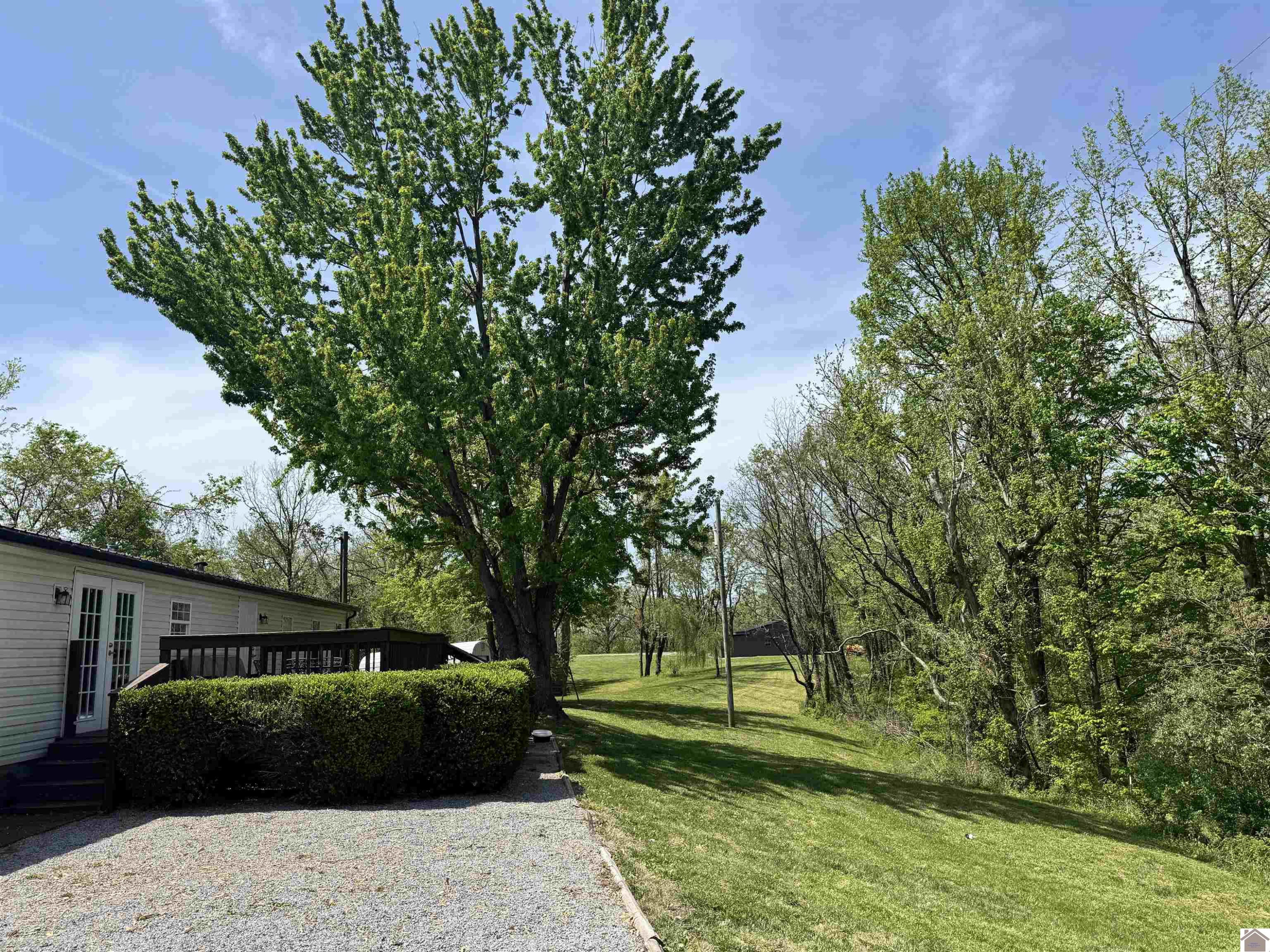 1370 Minerva Limp Road