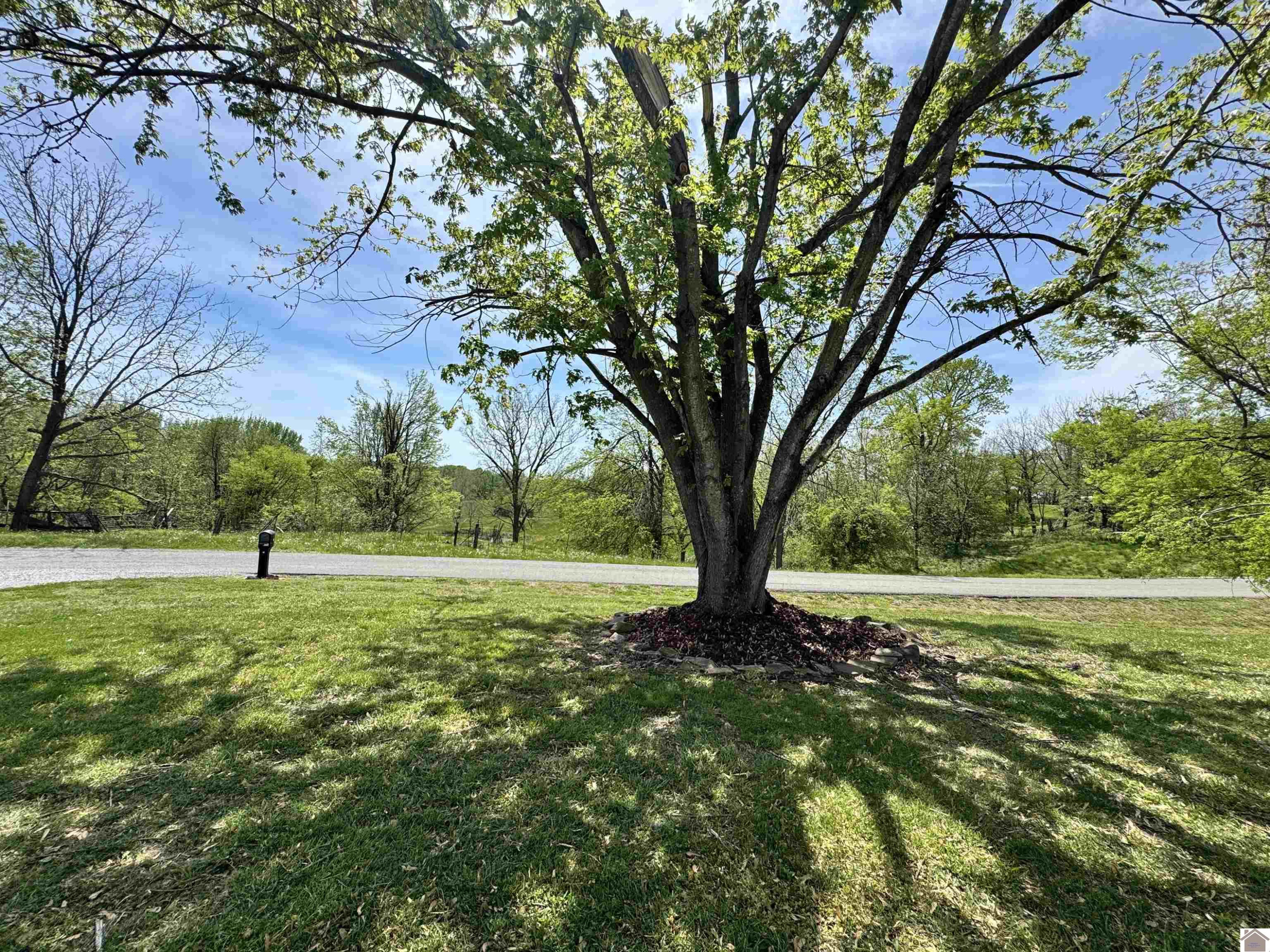 1370 Minerva Limp Road