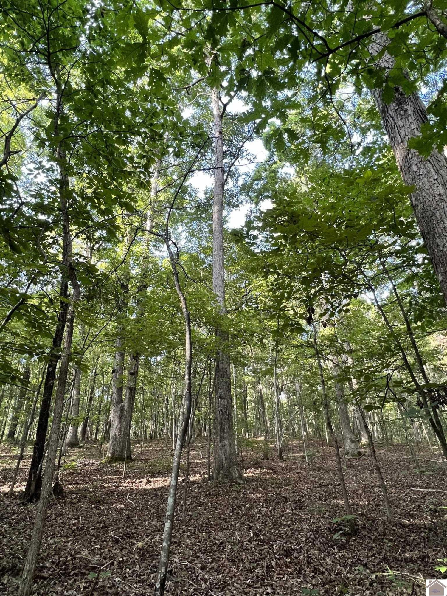 00 Beat Farmer Road Lot 1