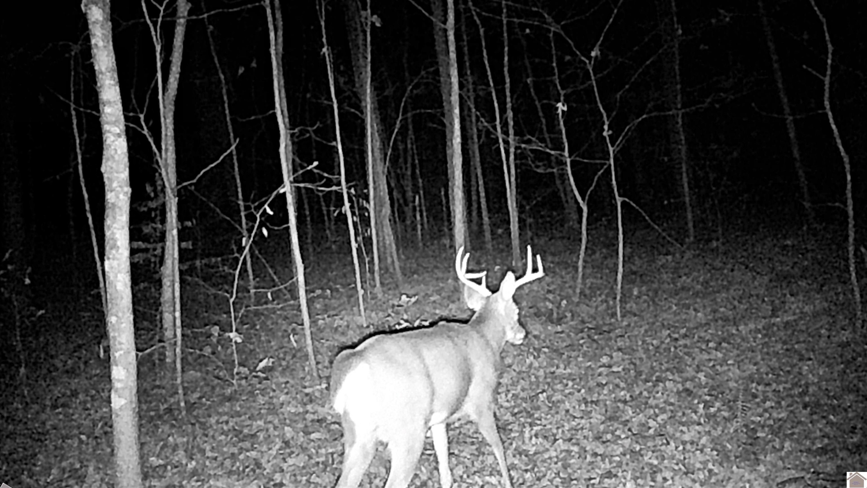 00 Beat Farmer Road Lot 1