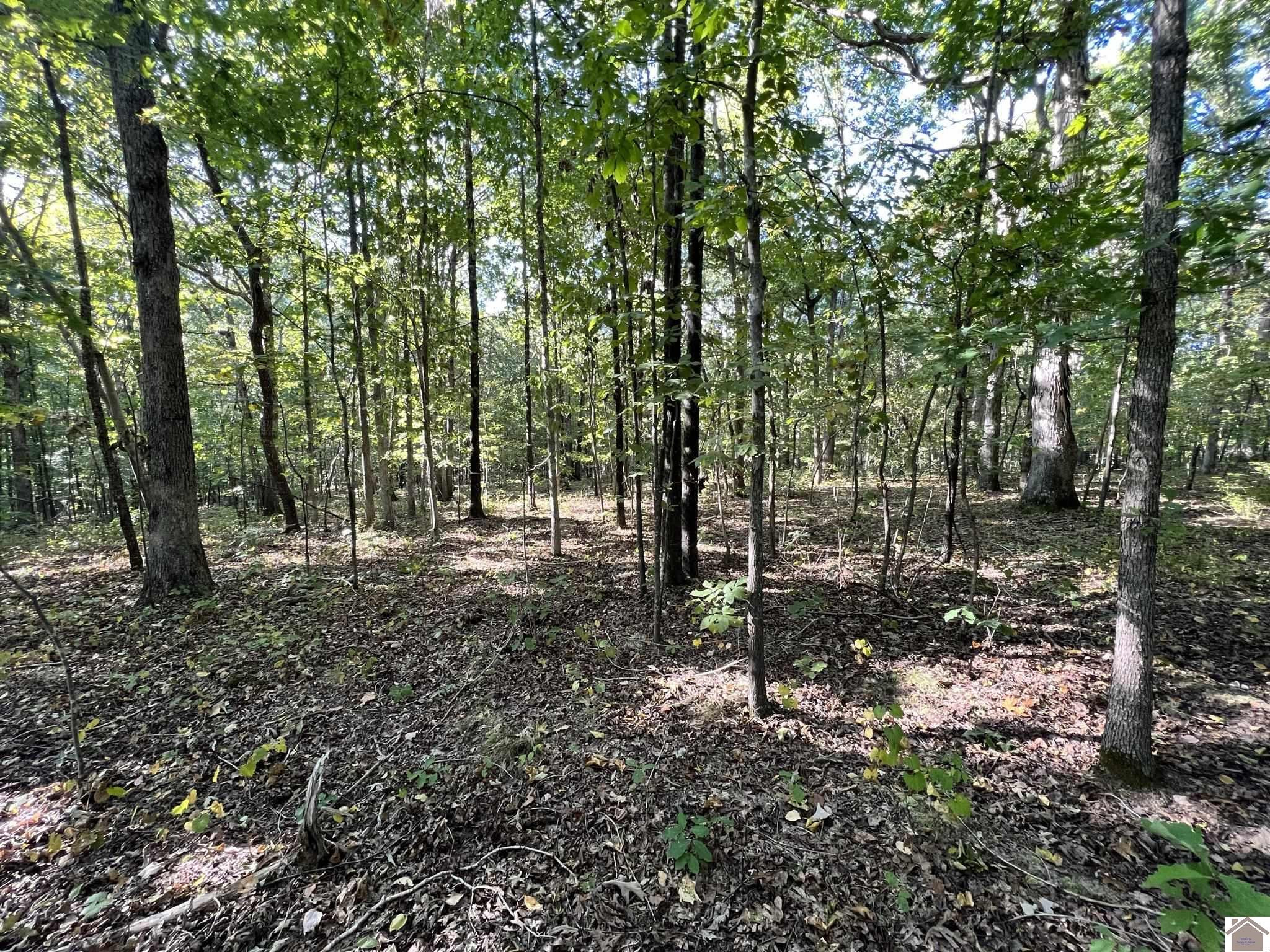 00 Beat Farmer Road Lot 1