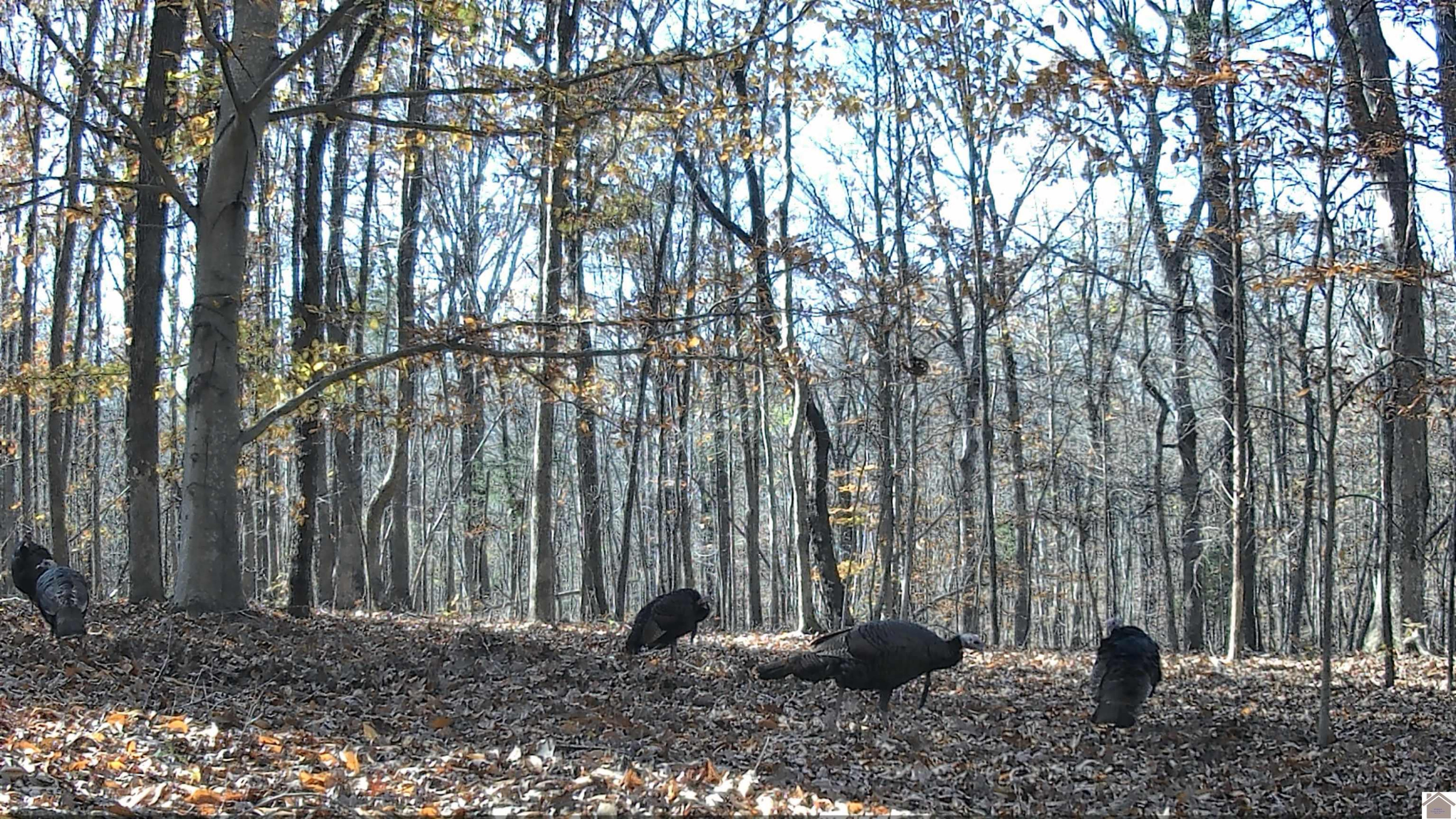 00 Beat Farmer Road Lot 1