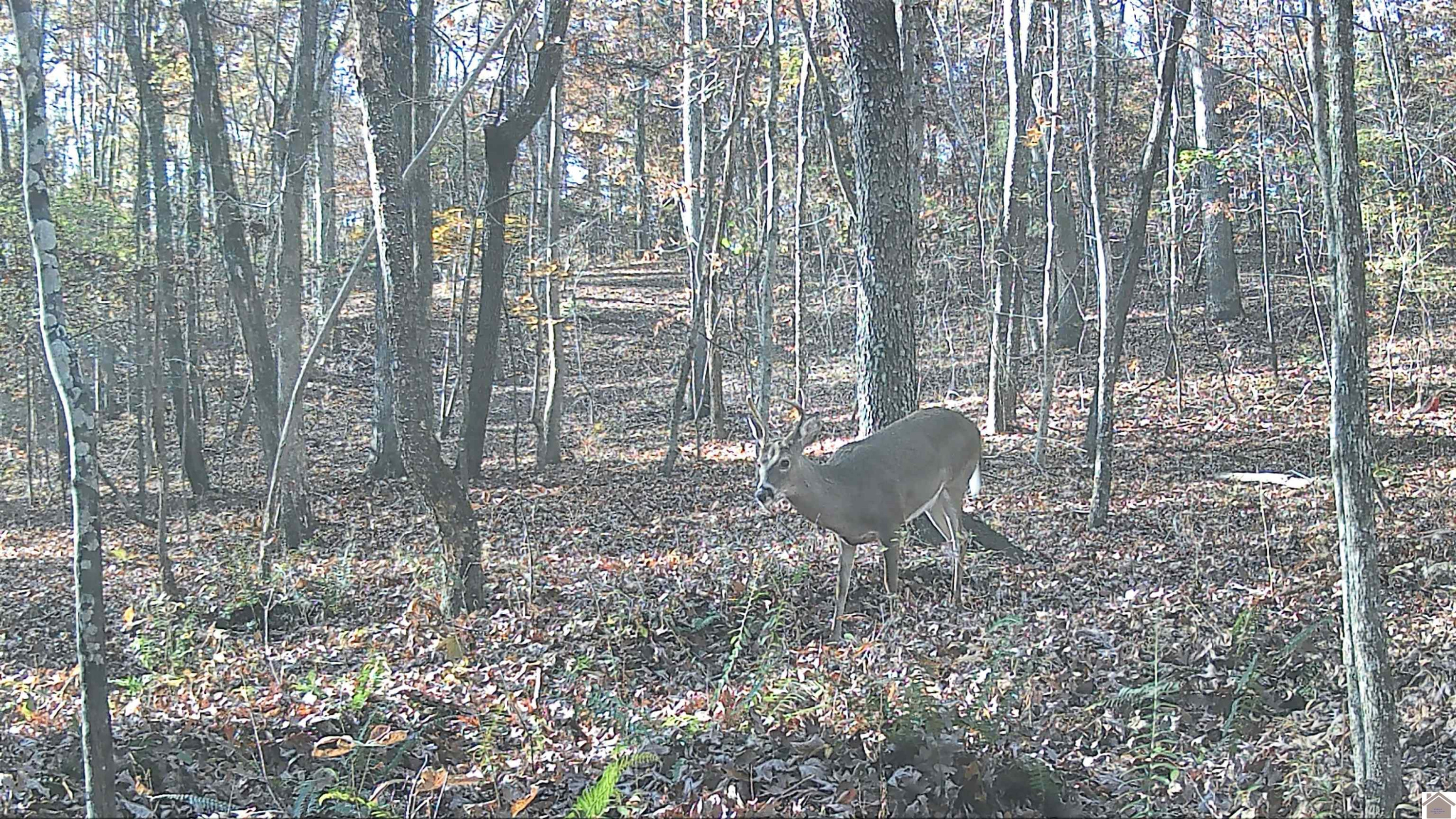 00 Beat Farmer Road Lot 1