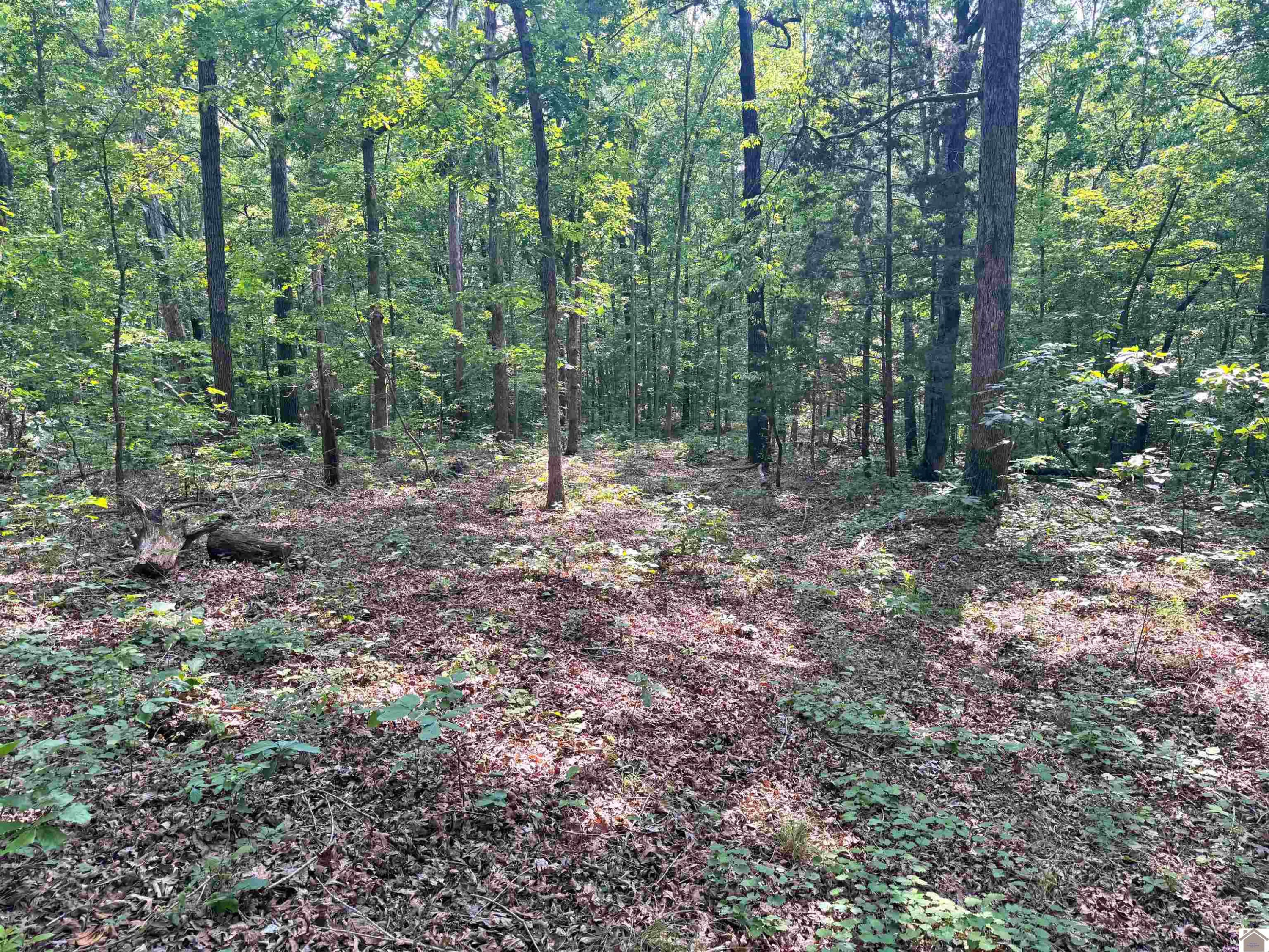 00 Beat Farmer Road Lot 1
