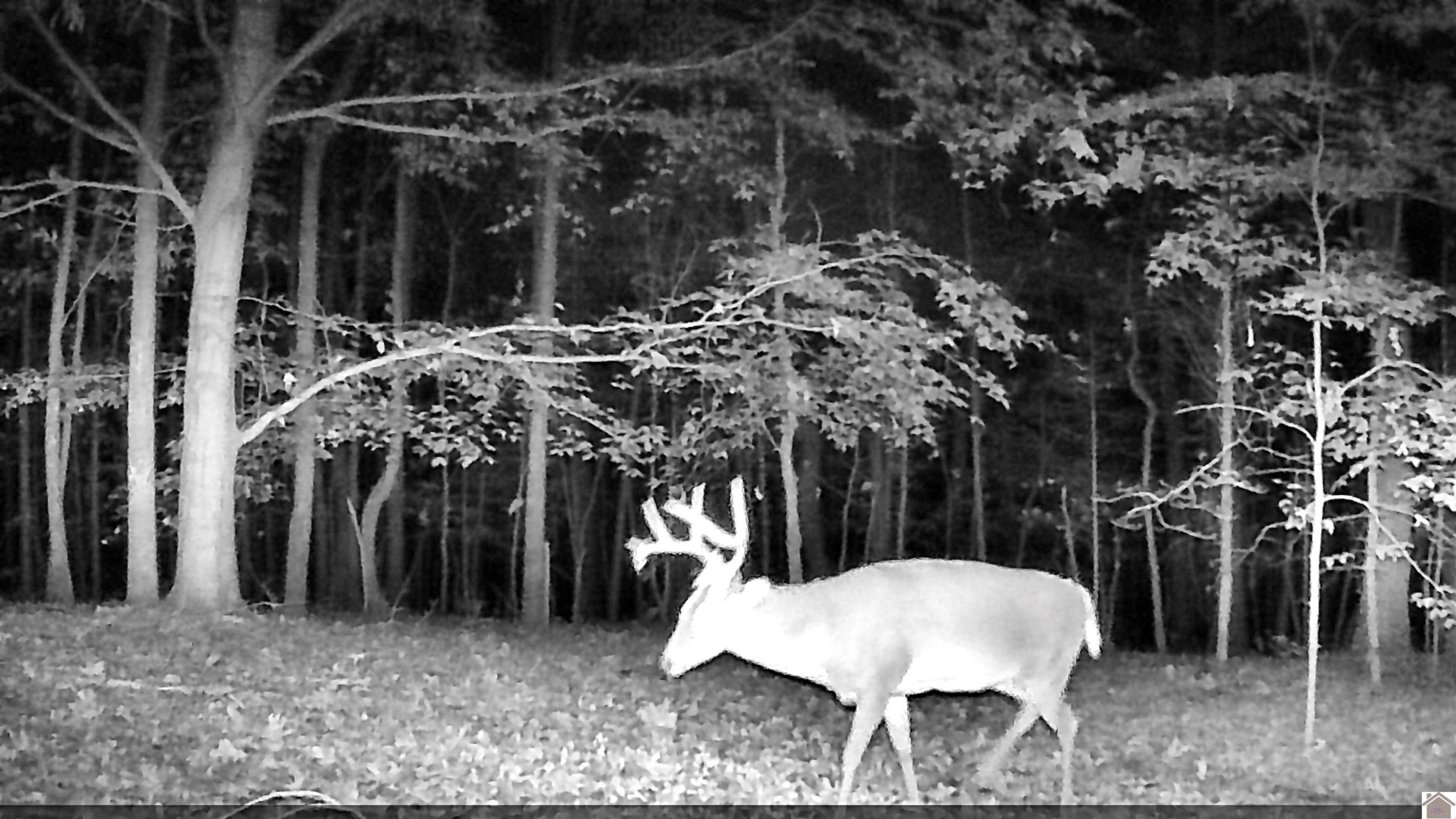 00 Beat Farmer Road Lot 1
