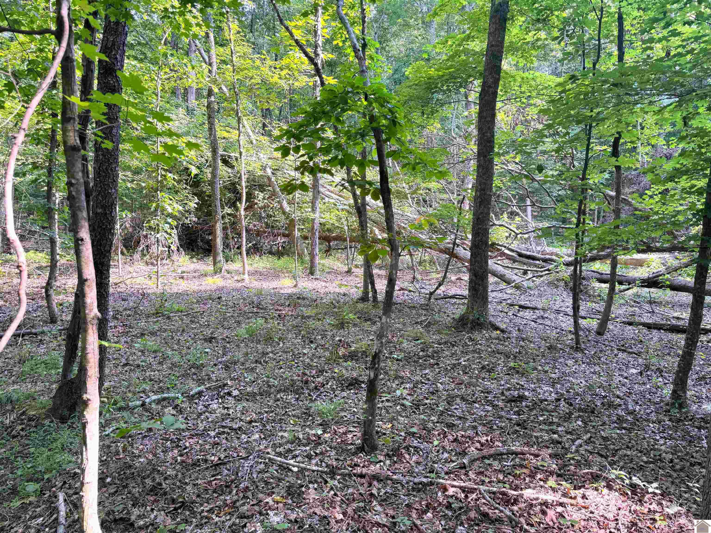00 Beat Farmer Road Lot 1
