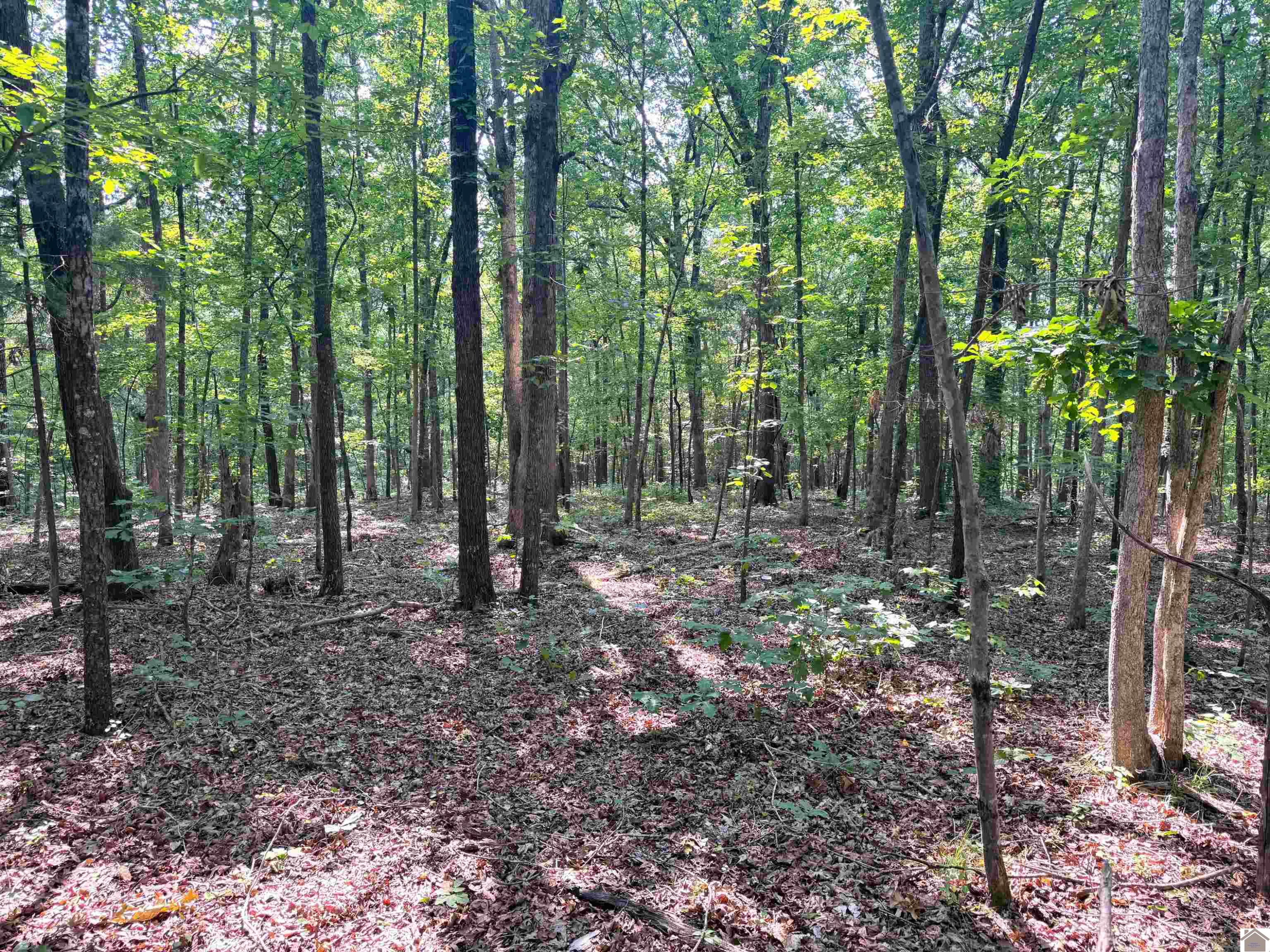 00 Beat Farmer Road Lot 1