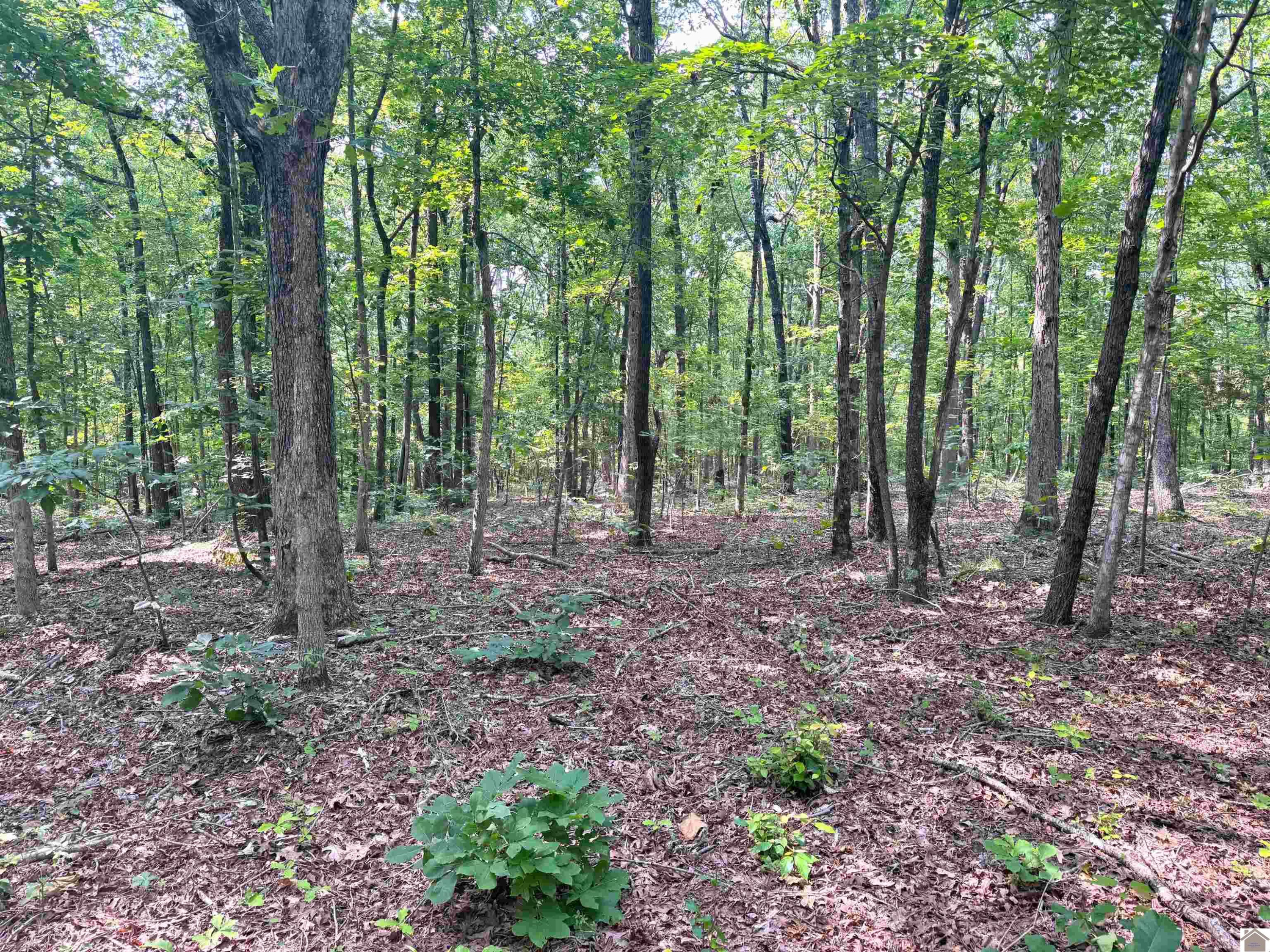 00 Beat Farmer Road Lot 1