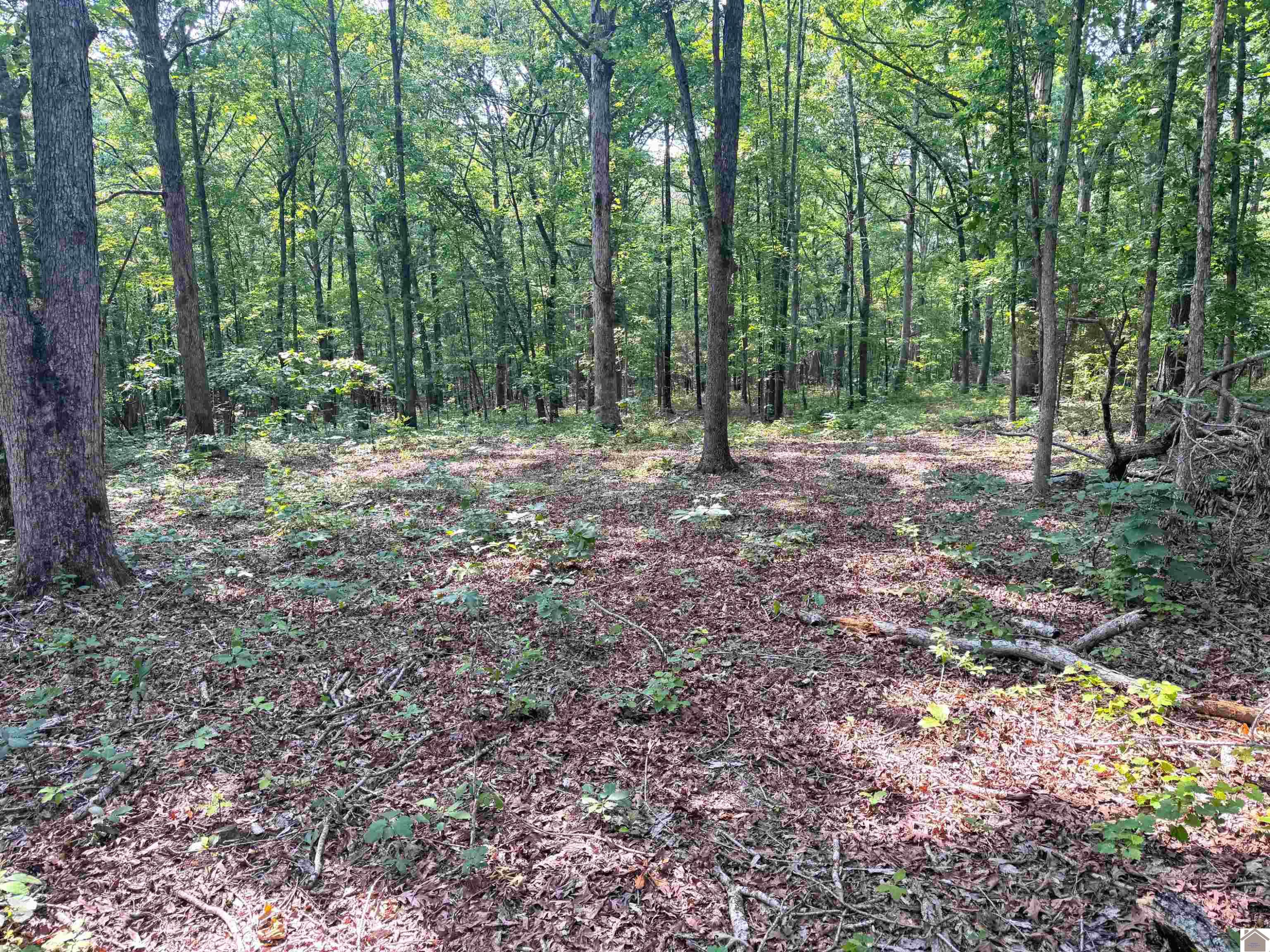 00 Beat Farmer Road Lot 1
