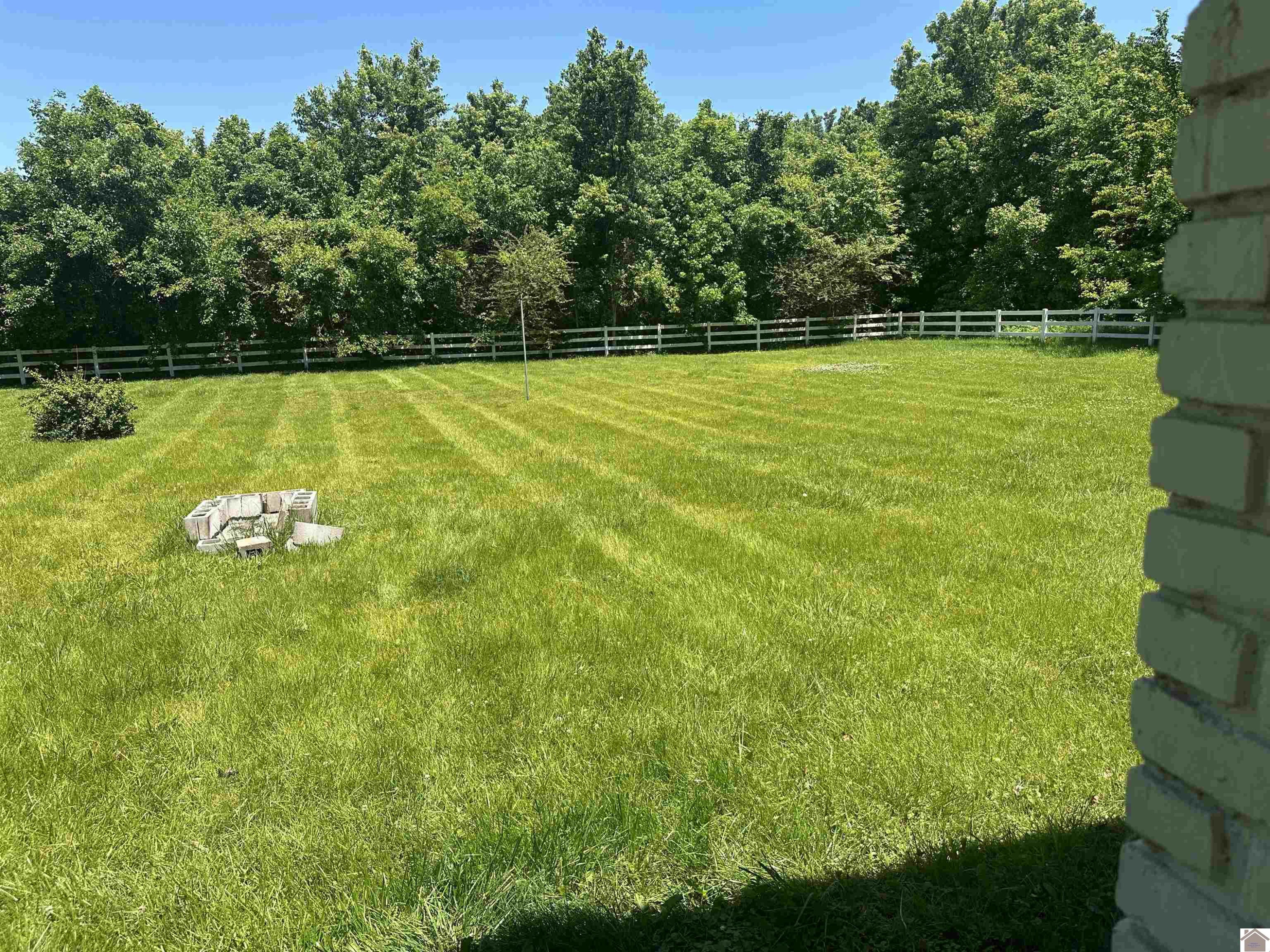3155 Cairo Road