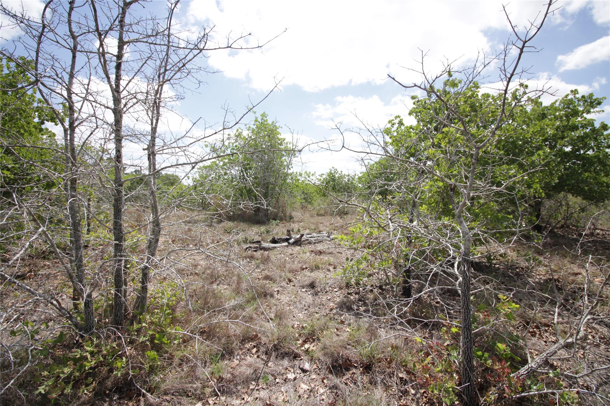 TBD River Forest DR