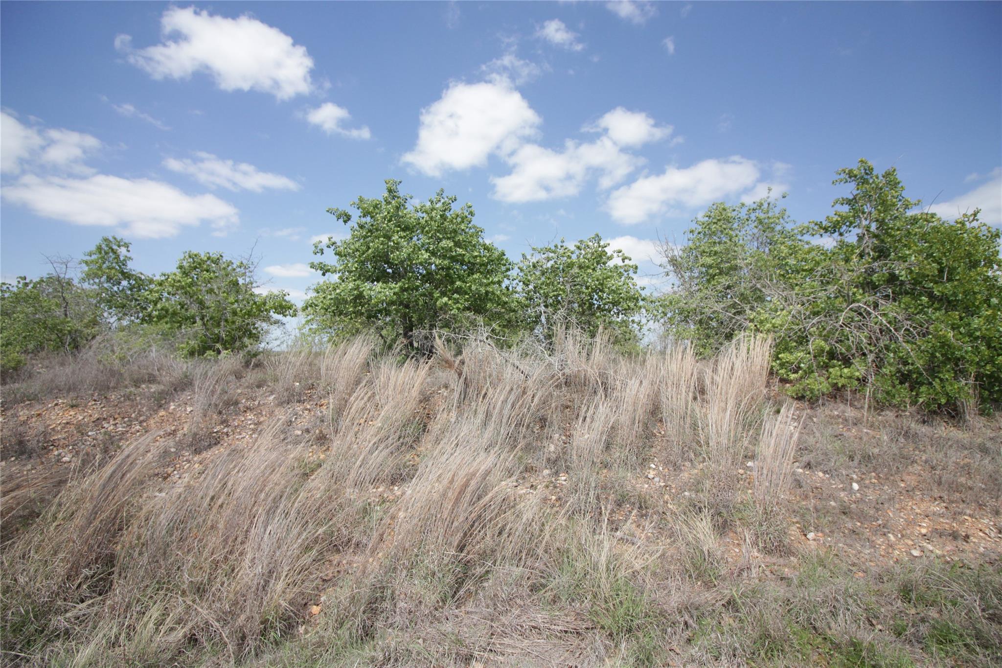 TBD River Forest DR