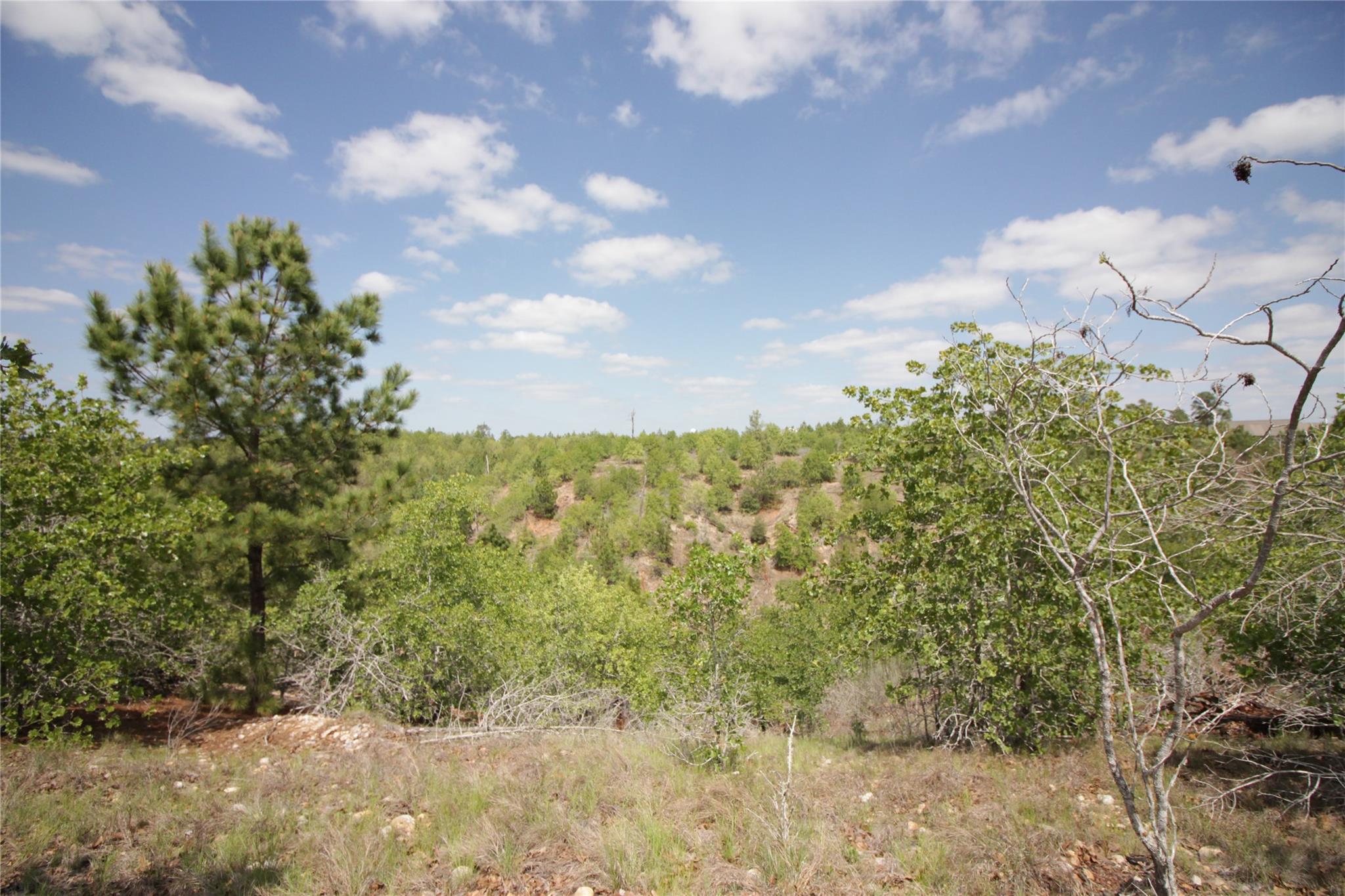 TBD River Forest DR