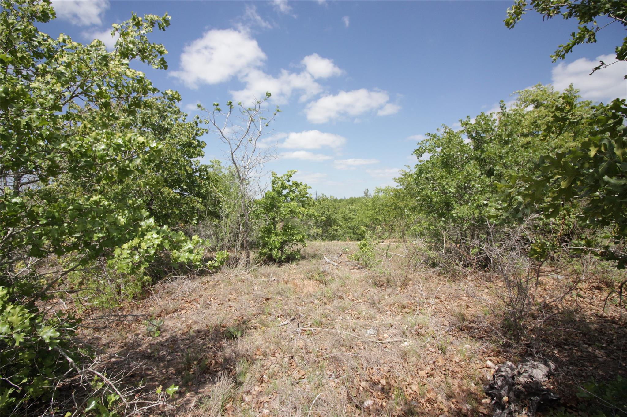 TBD River Forest DR