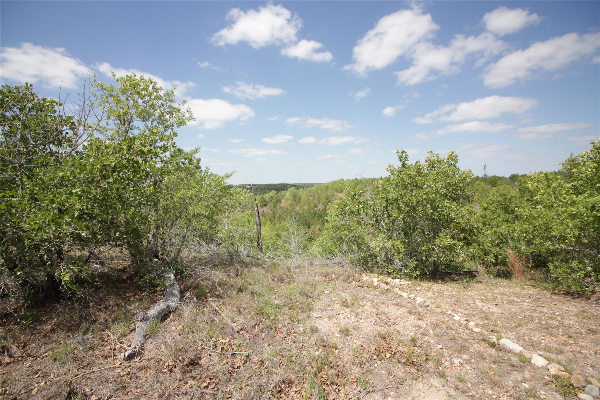 TBD River Forest DR
