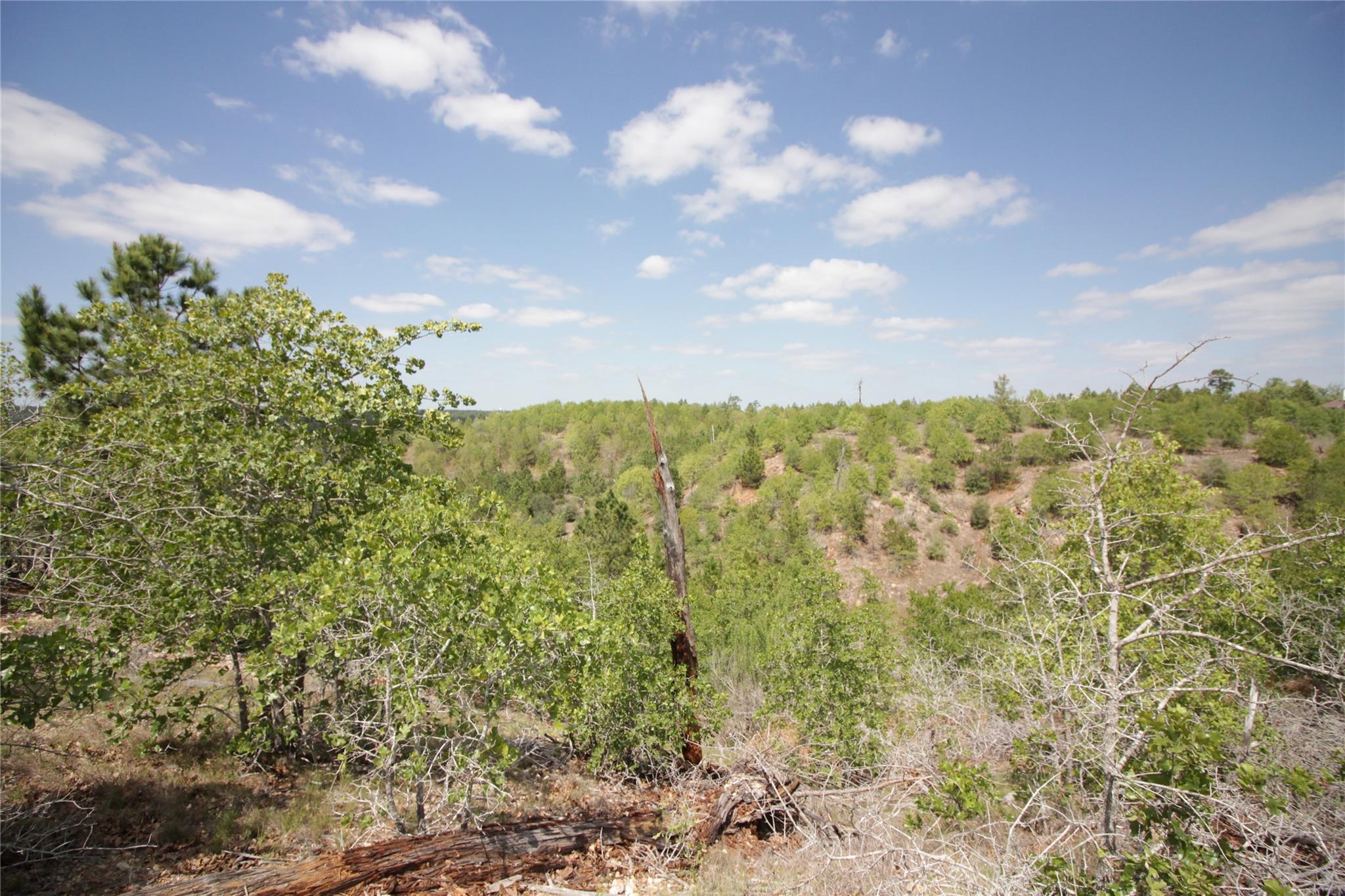 TBD River Forest DR
