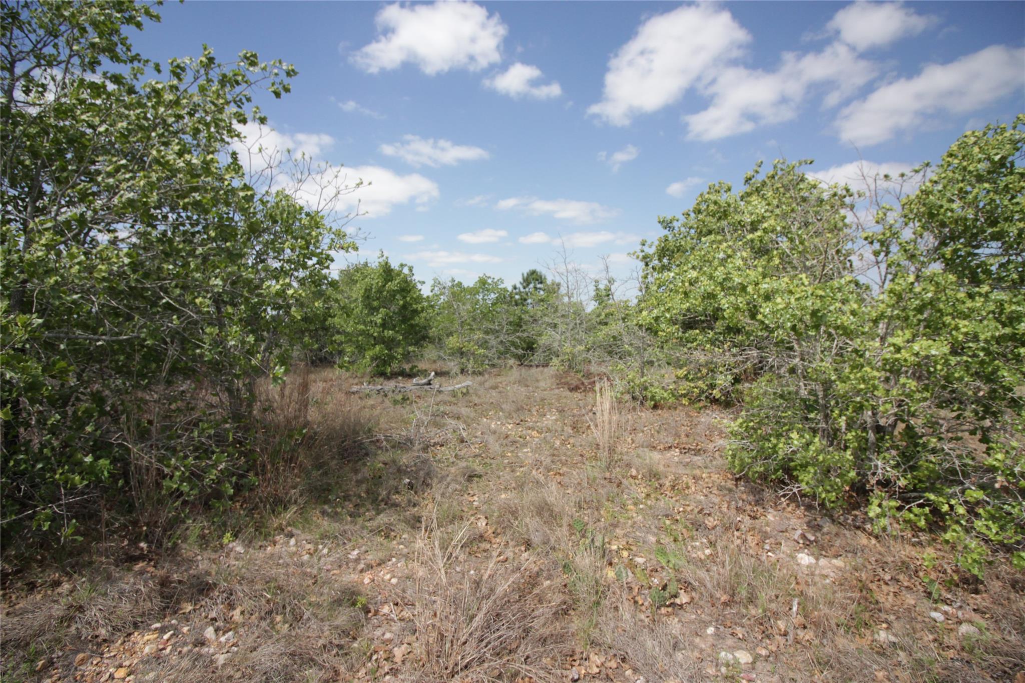 TBD River Forest DR
