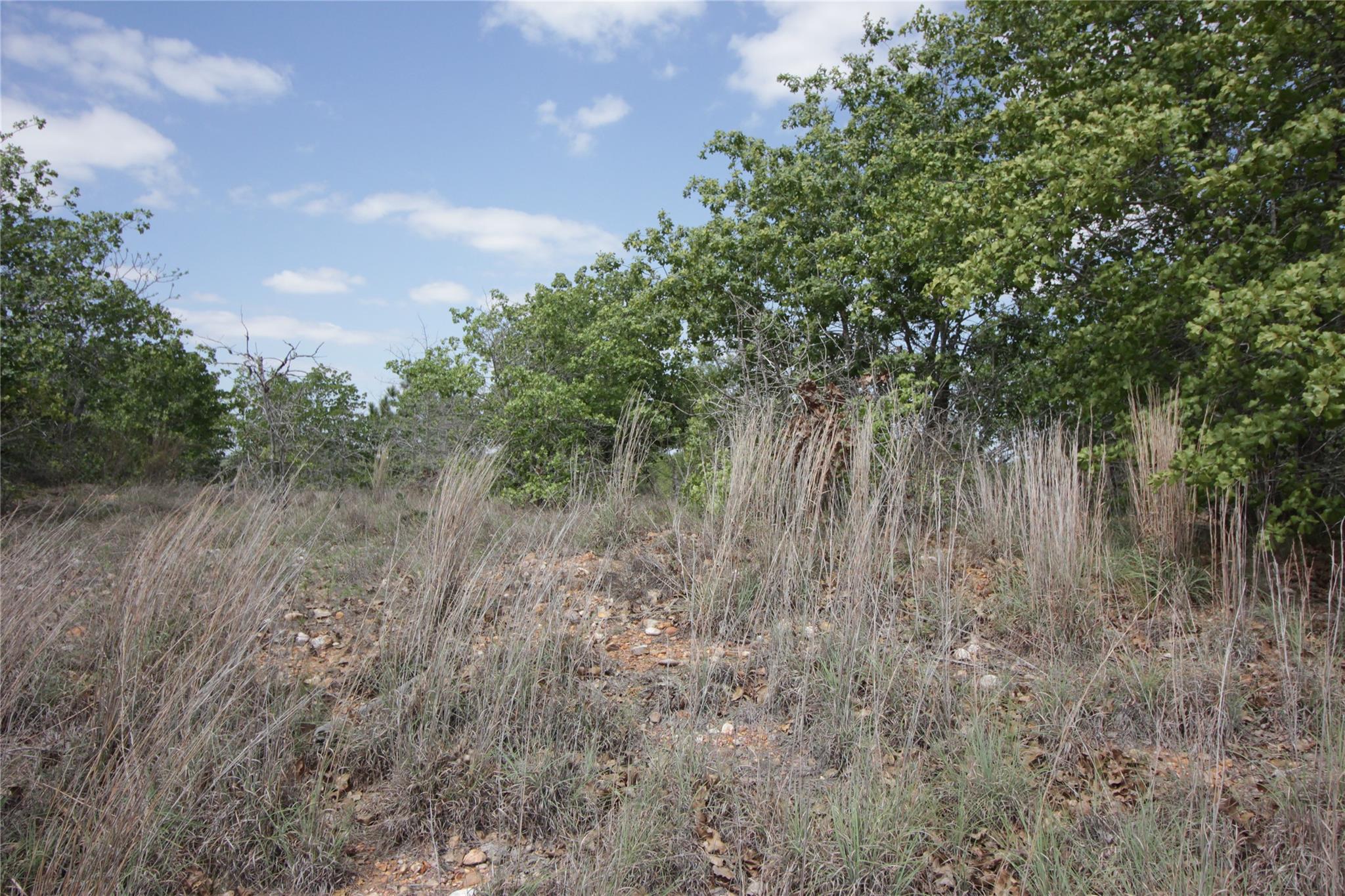TBD River Forest DR