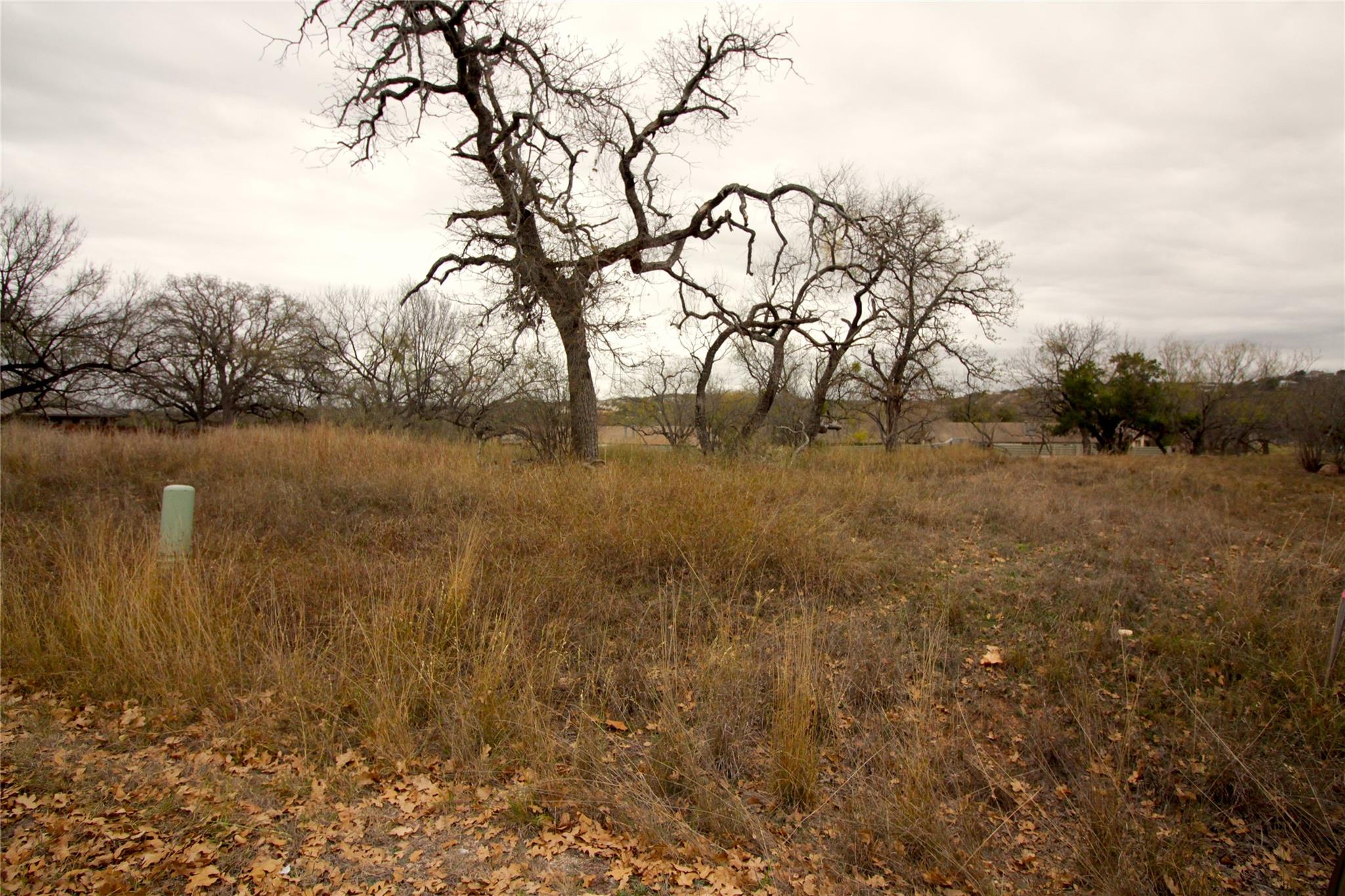 205 Big SPUR