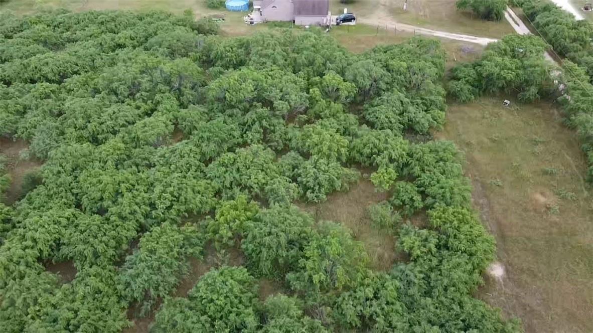 Lot 1 State Highway 21 W