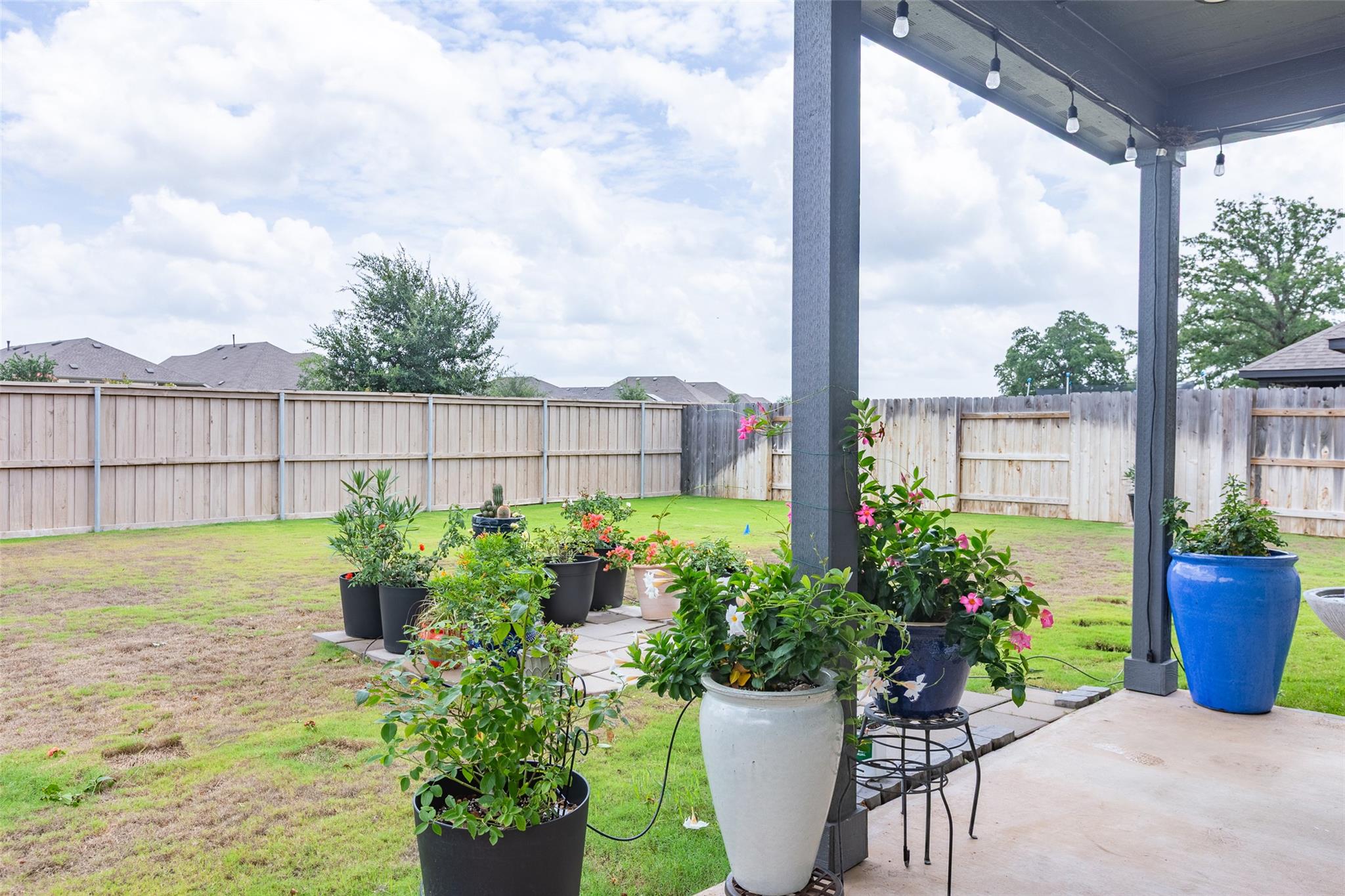 Fenced backyard with a covered patio, string lights, and potted flowering plants.