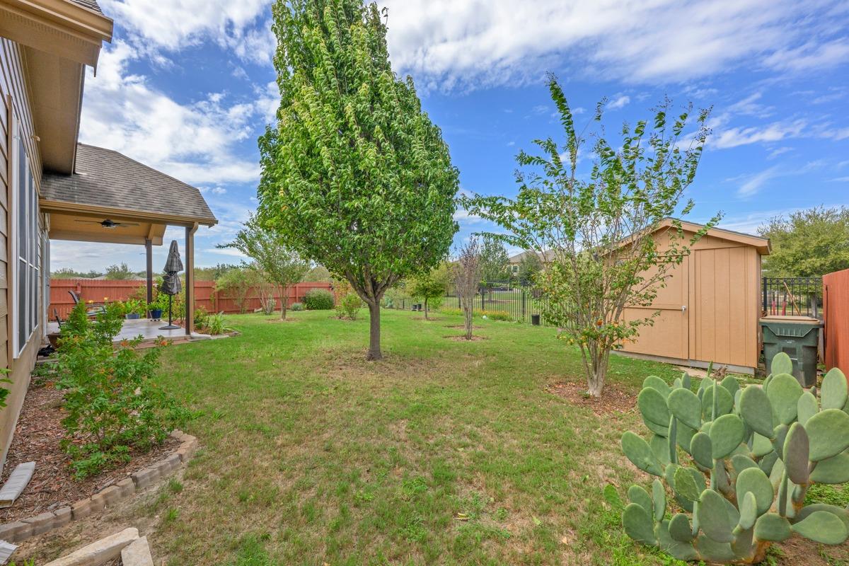 507 Field Corn LN