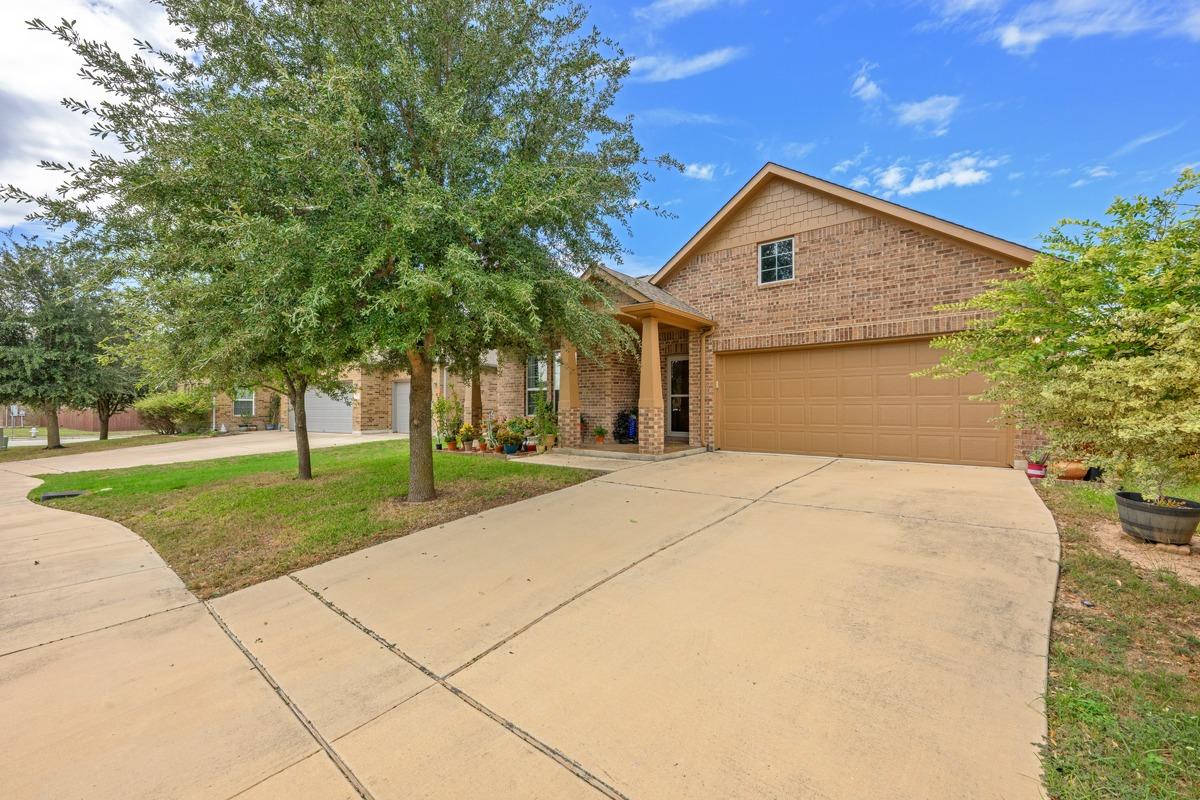 507 Field Corn LN