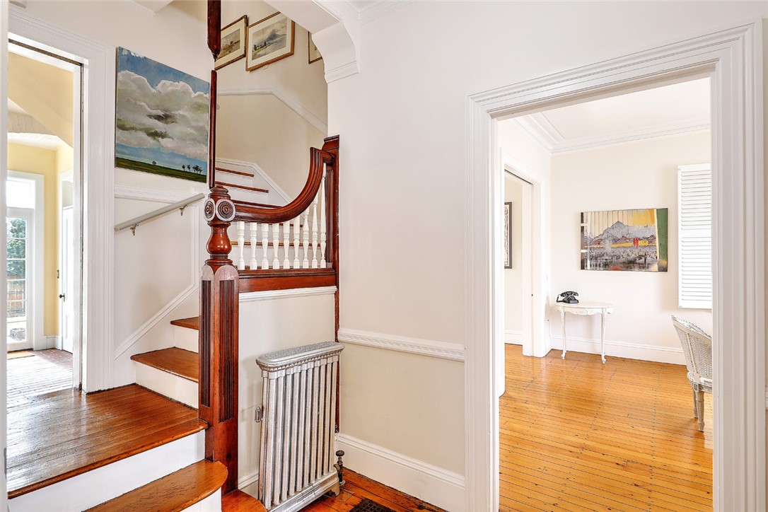 3 Nisbet Street