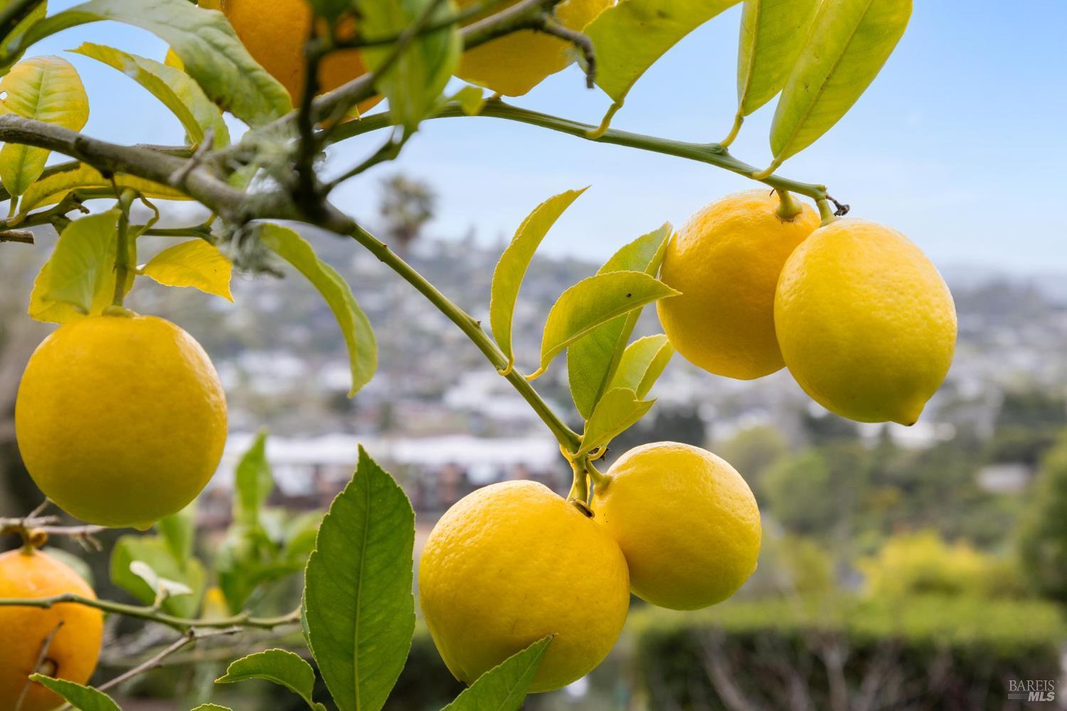 1837 Centro West Street