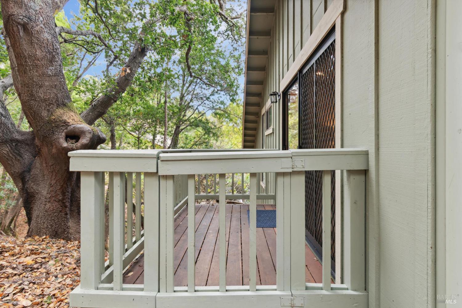 10 Tanoak Court