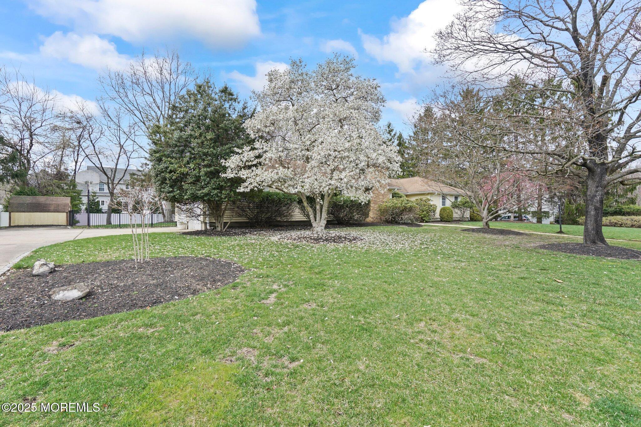 15 Carbury Road