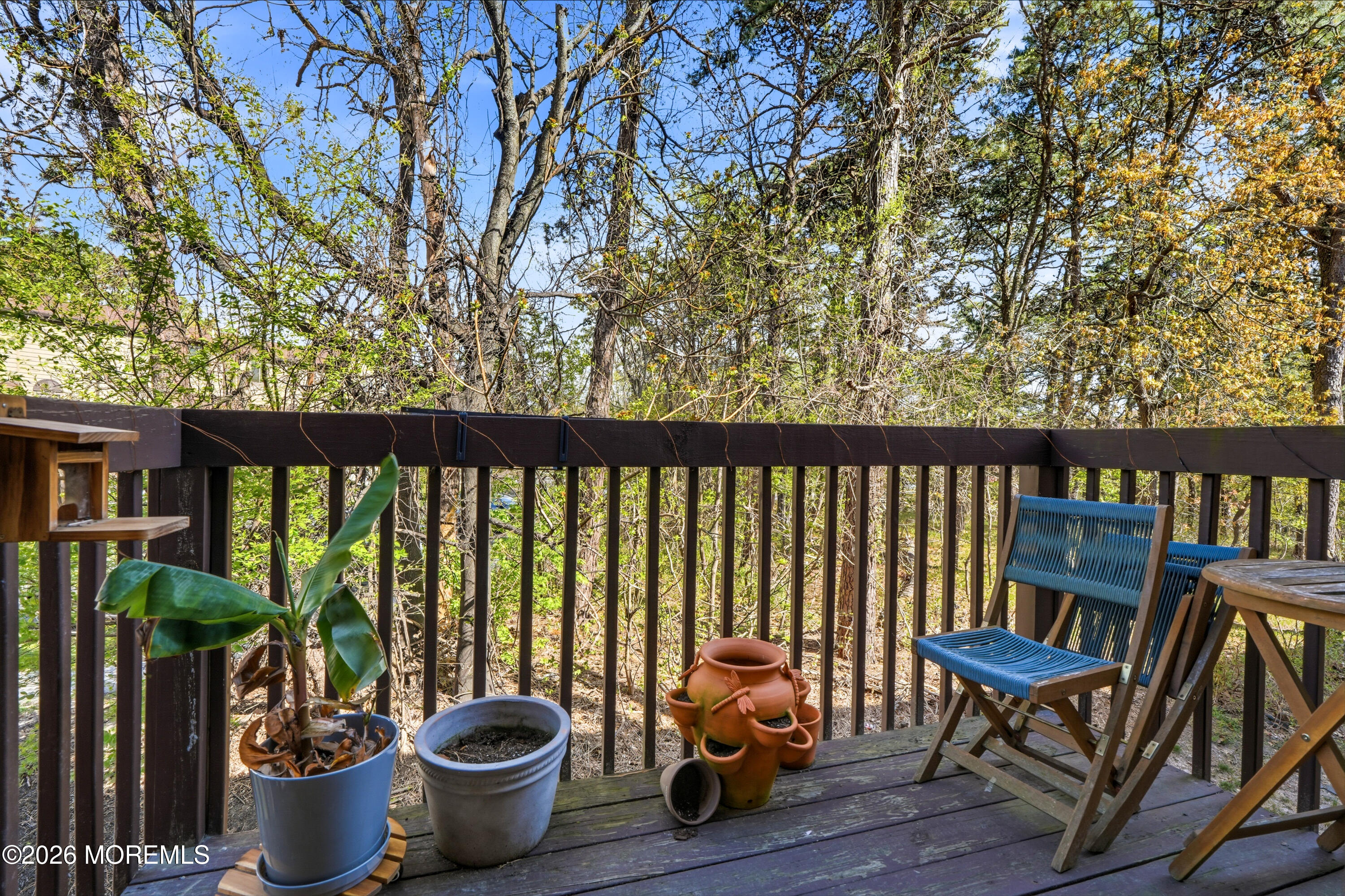 602 Alpine Trail