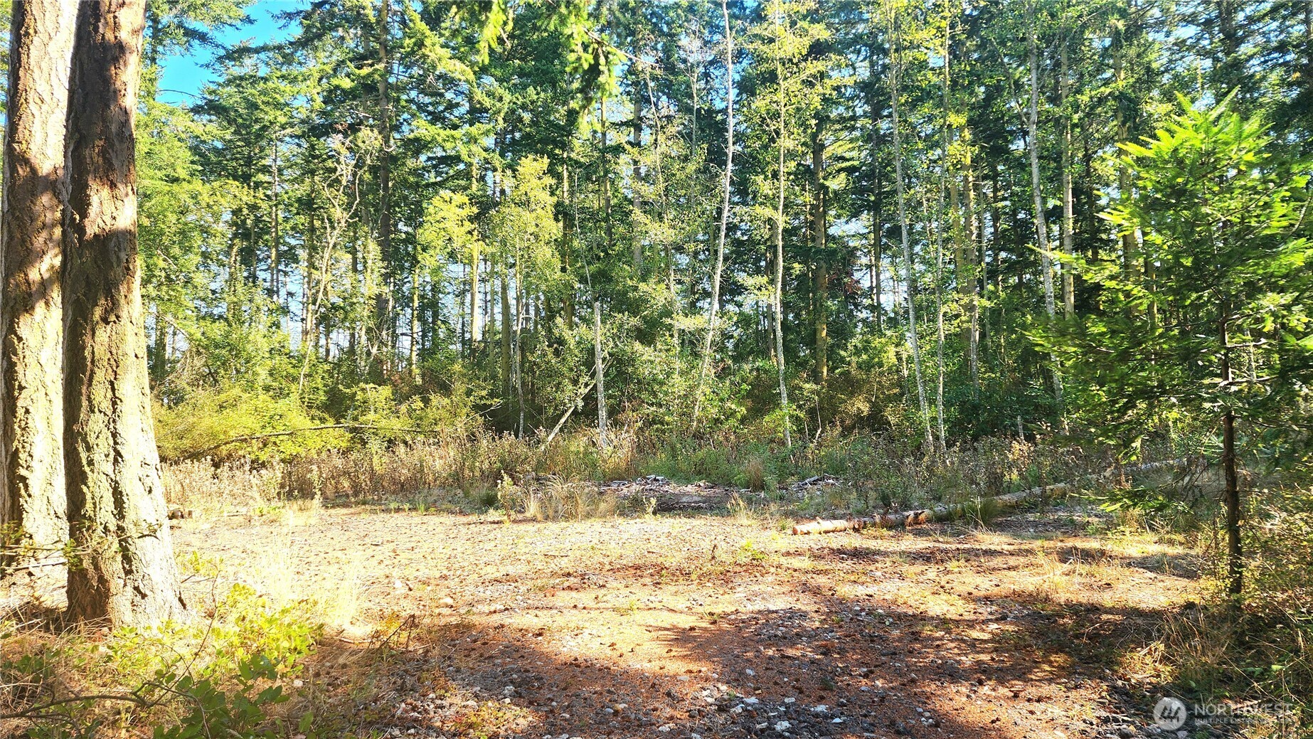 1976 Boon Road