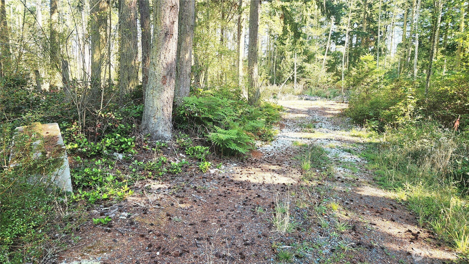 1976 Boon Road