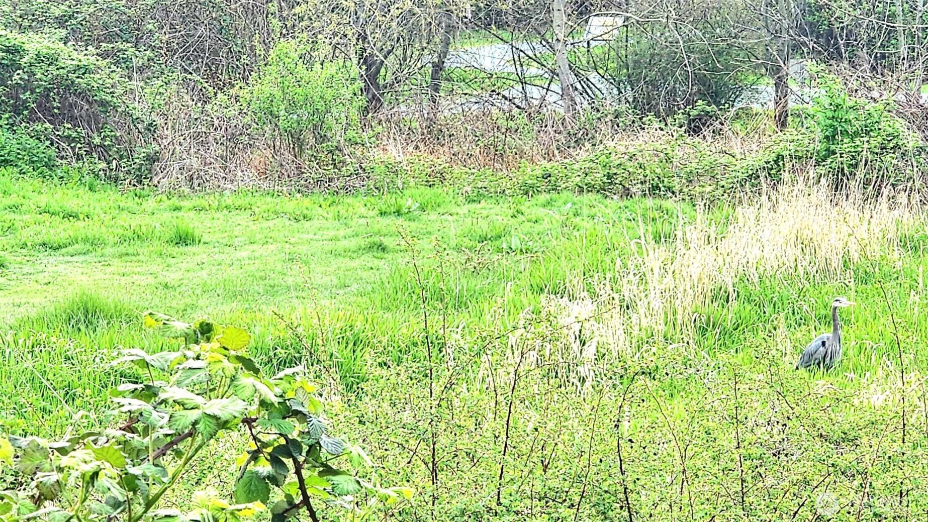 485 SW Bayshore Drive Unit: C301