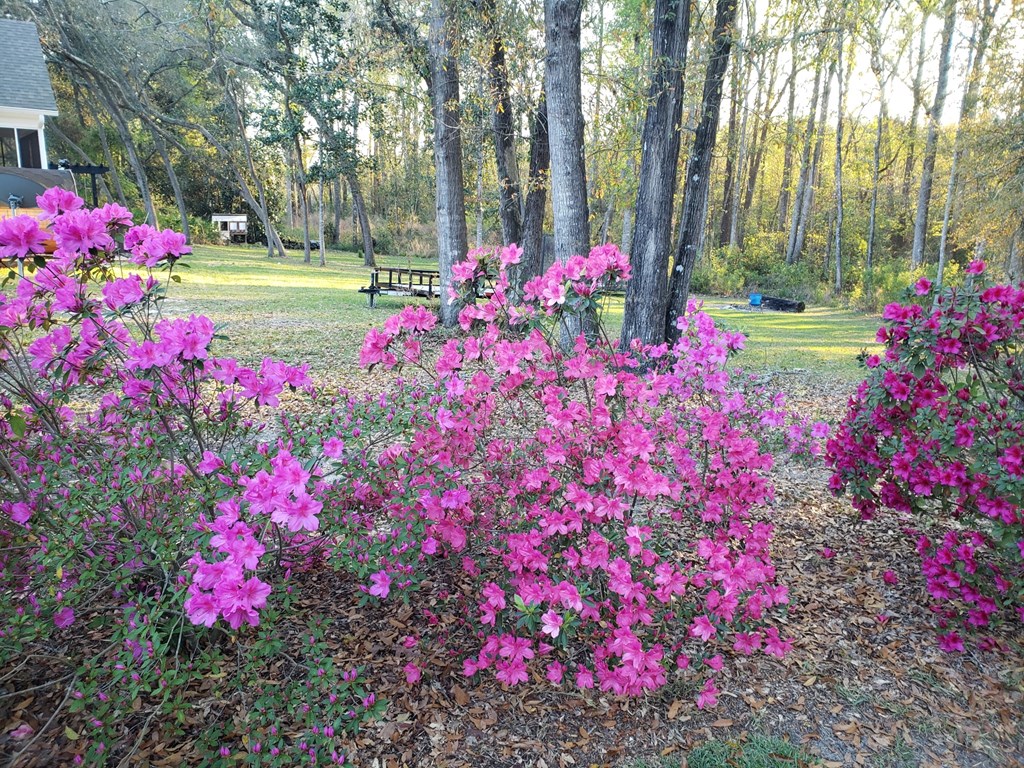 2118 Deer Run Circle