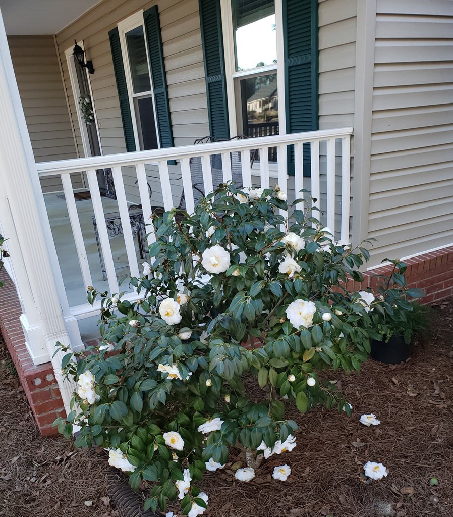 2118 Deer Run Circle