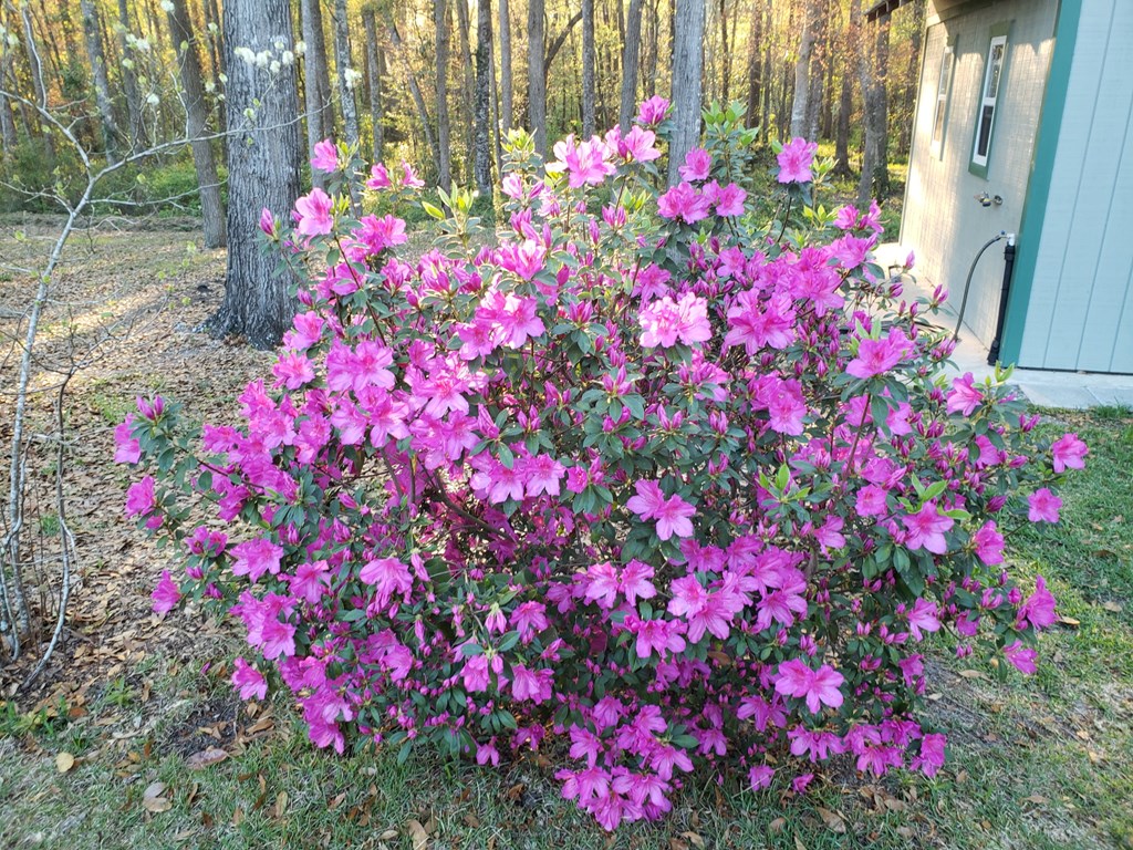 2118 Deer Run Circle